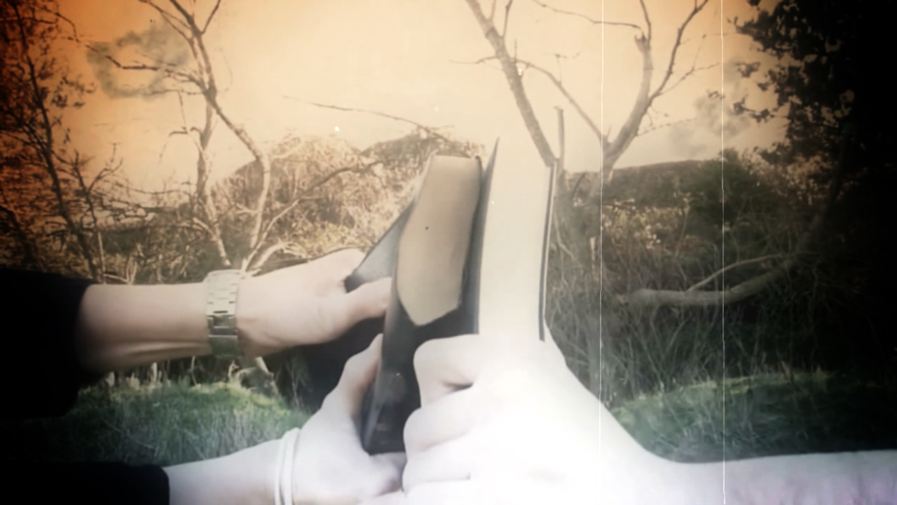 Wrath Of The Violent Vicar - Interactive Film screenshot 13