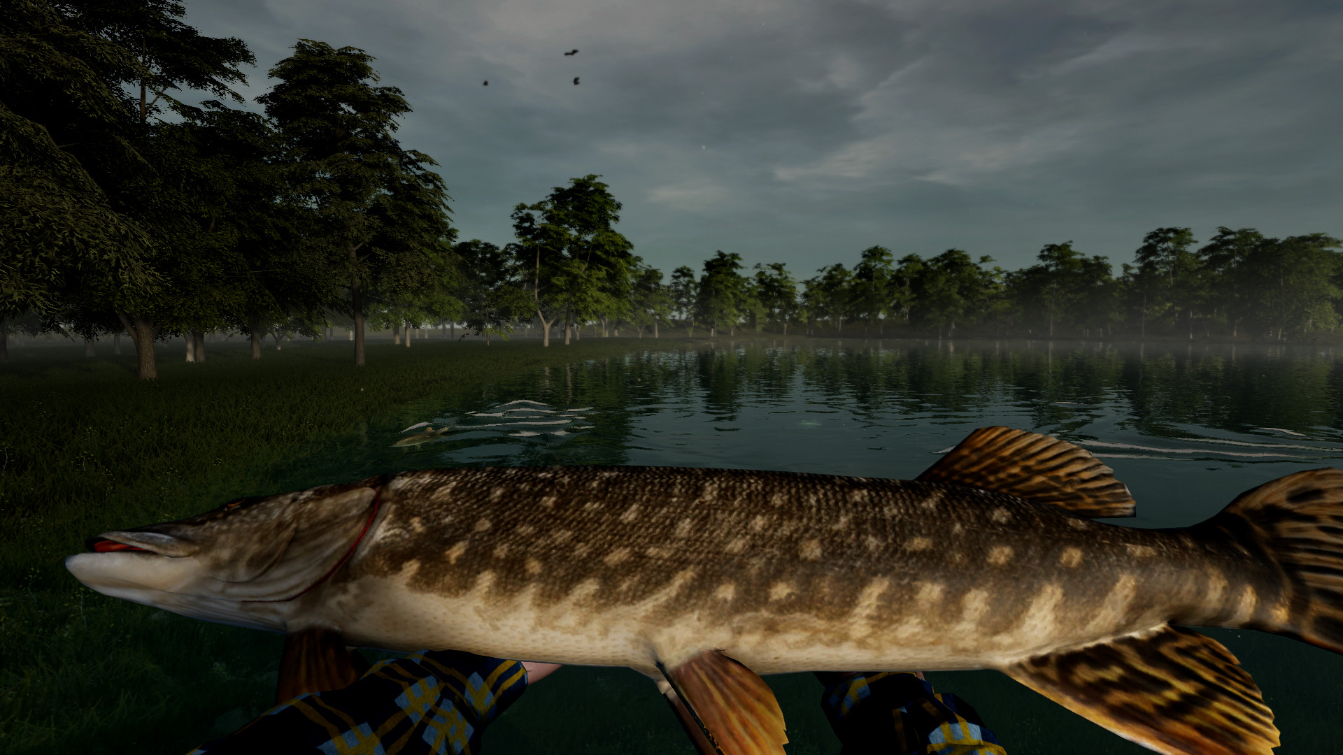 Tales of Herring Lake screenshot 9