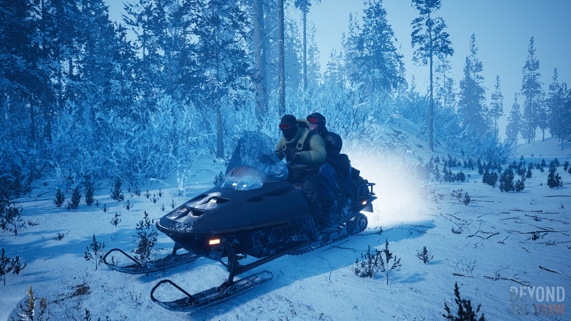 Beyond The Thaw screenshot 1