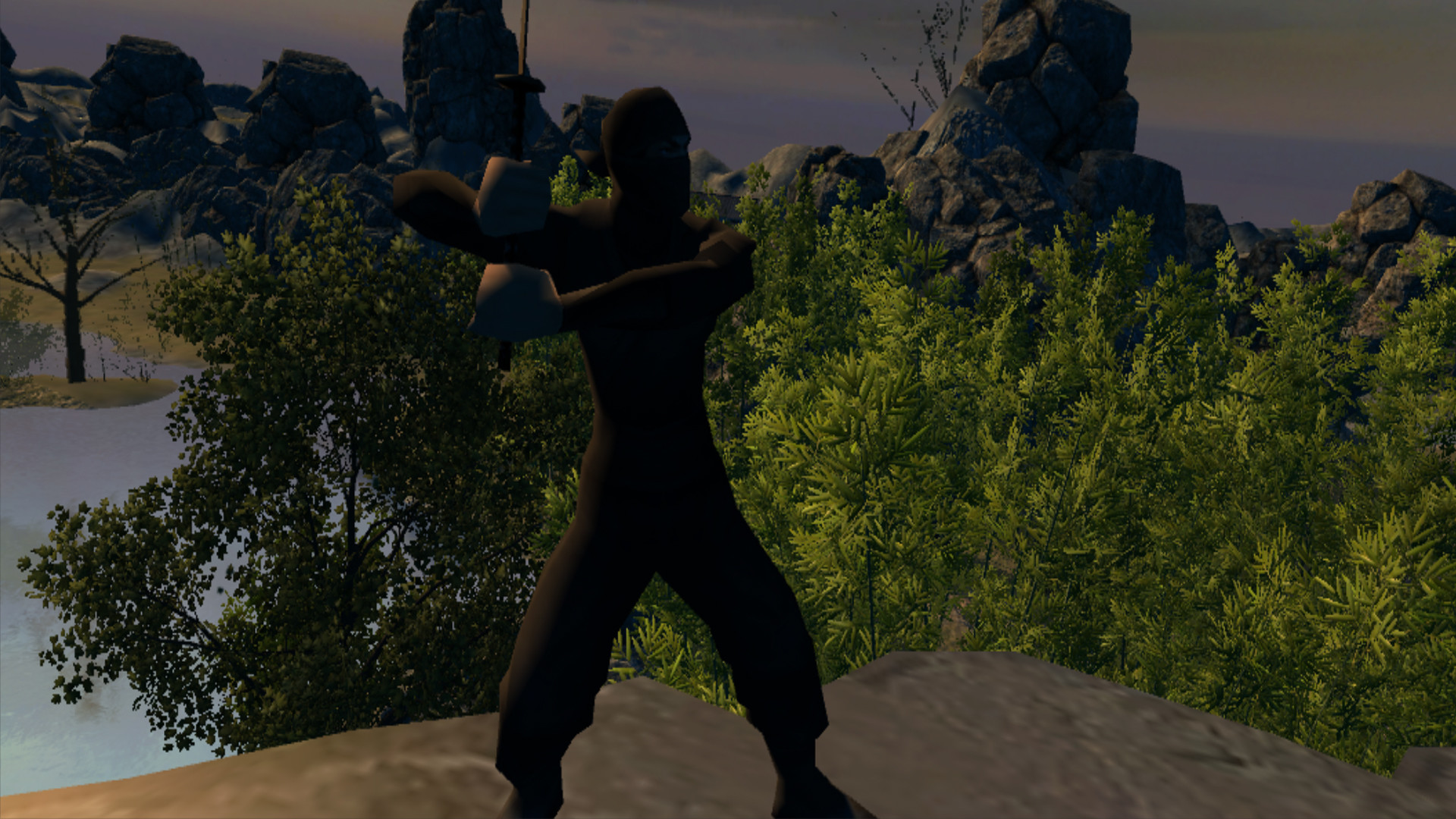 Aka Ninja VR screenshot 2