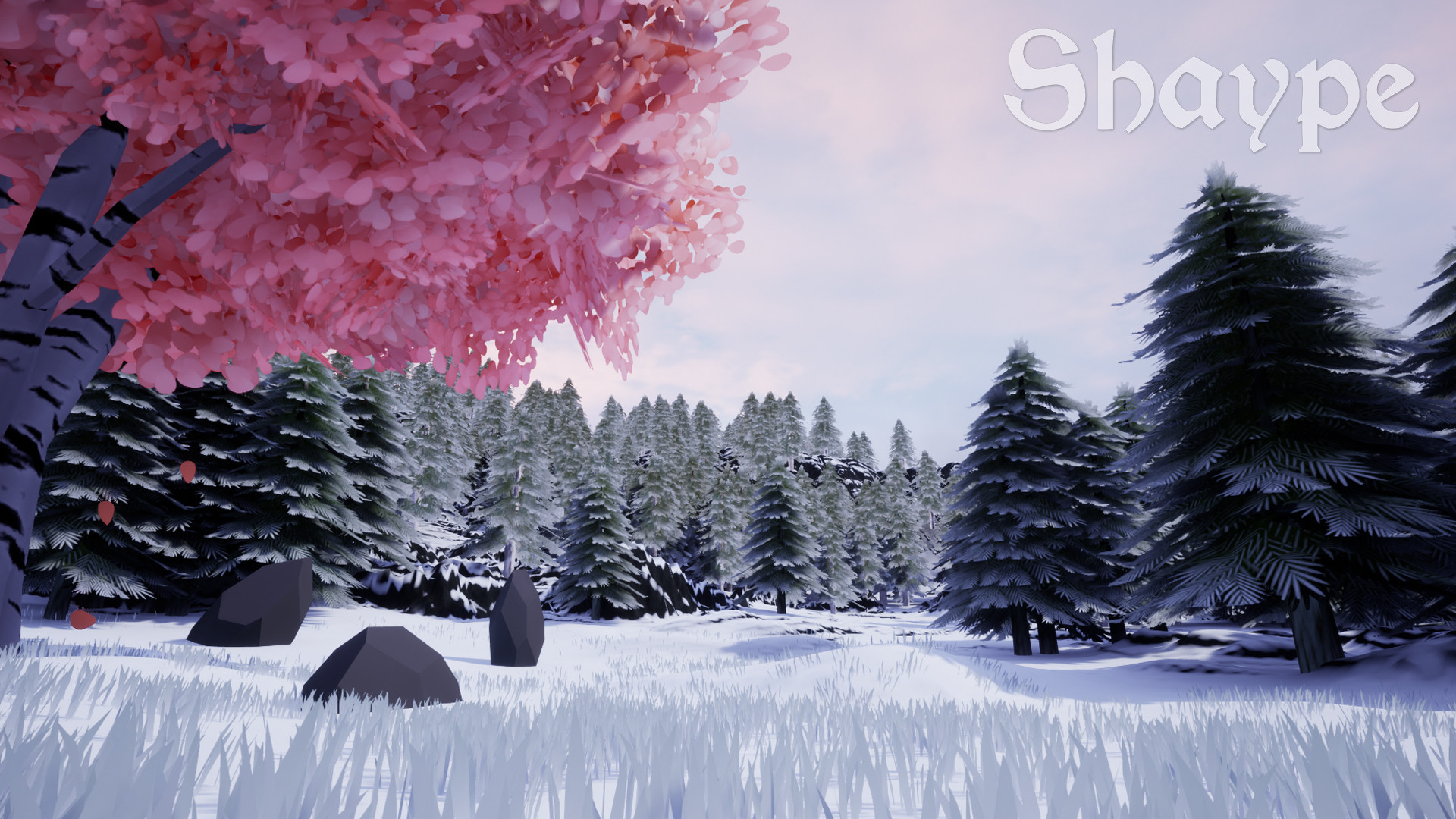 Shaype screenshot 6