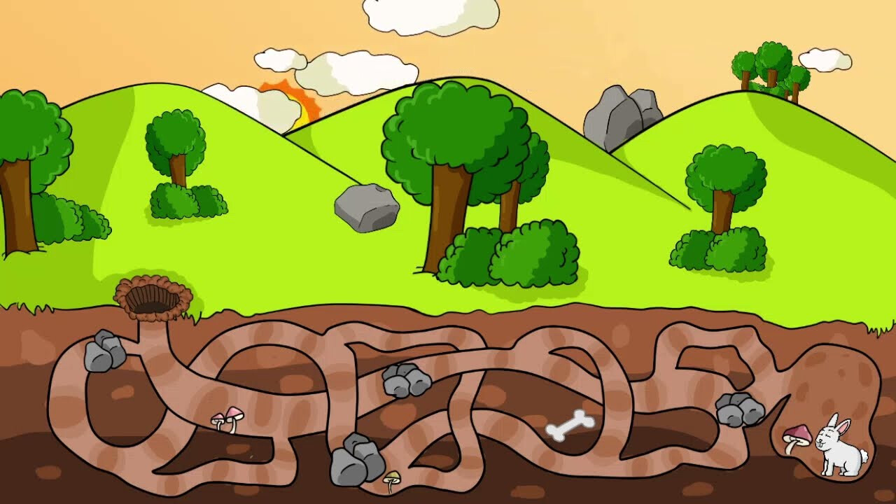 My Pets: Maze screenshot 3