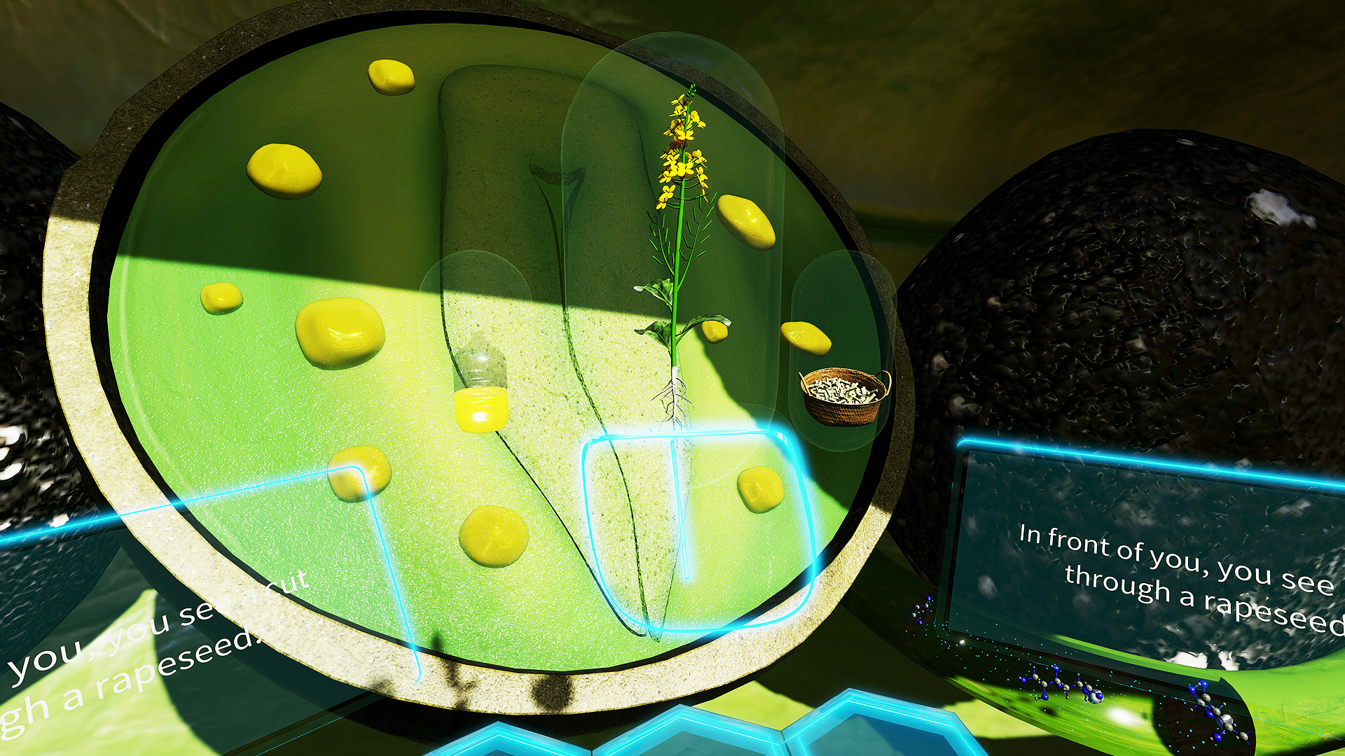 VR Plant Journey screenshot 7