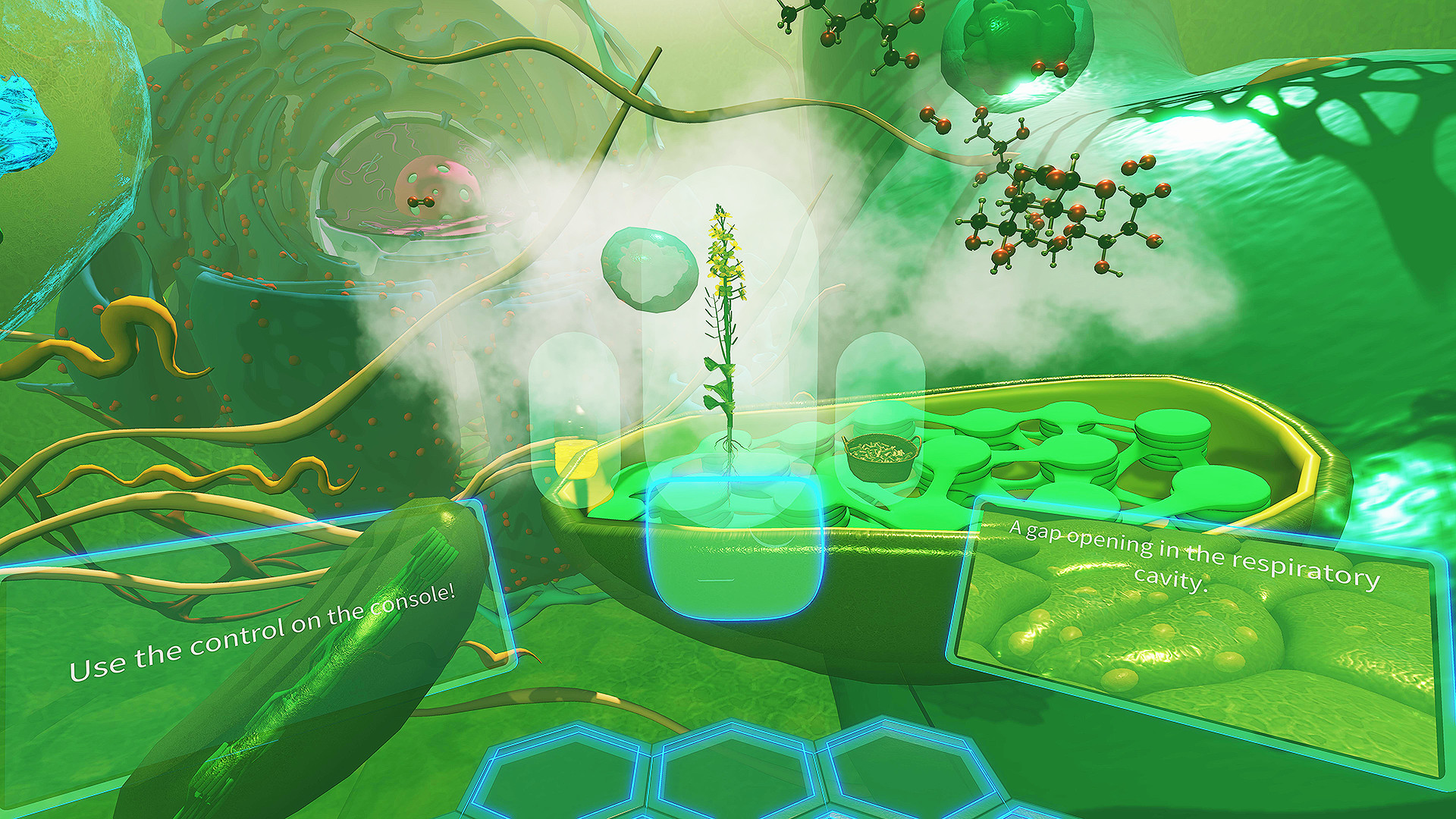 VR Plant Journey screenshot 8