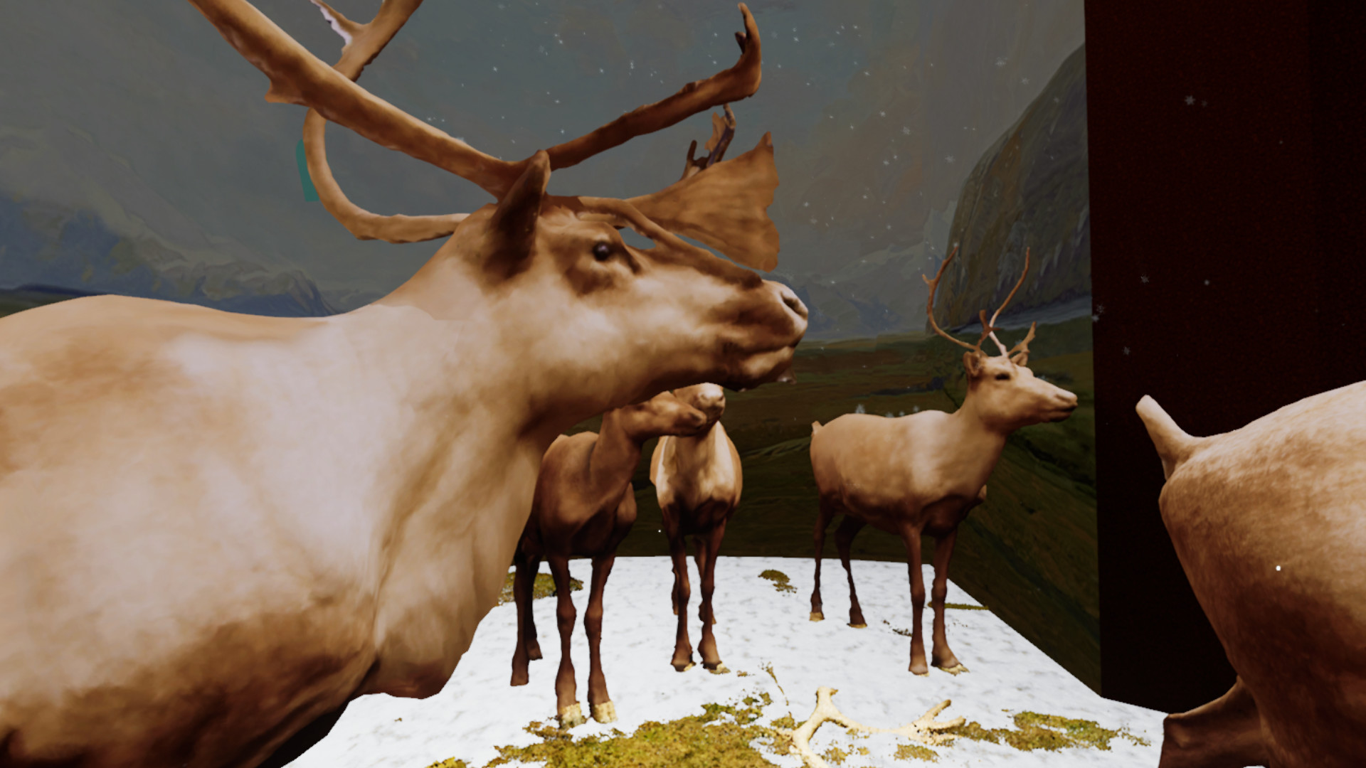 Beyond The Diorama: Caribou World screenshot 4