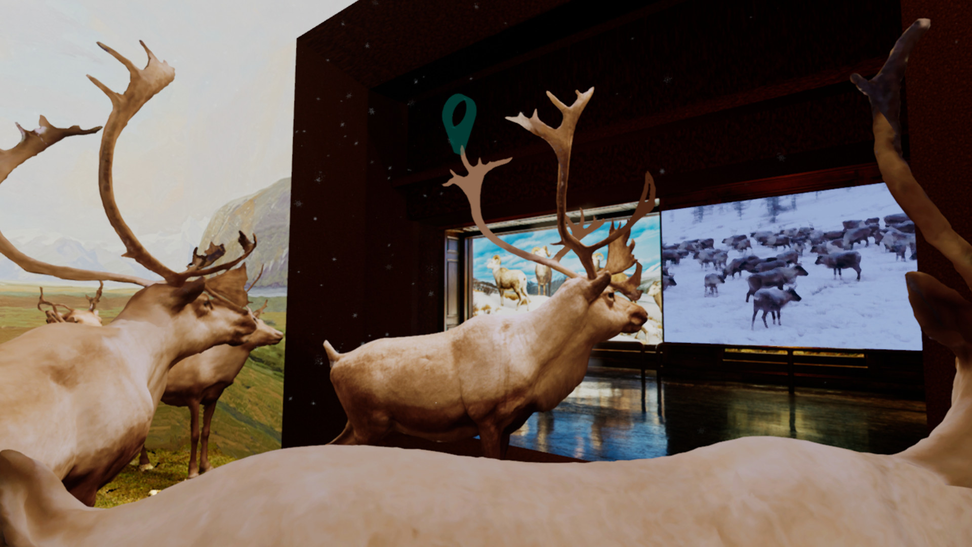 Beyond The Diorama: Caribou World screenshot 2