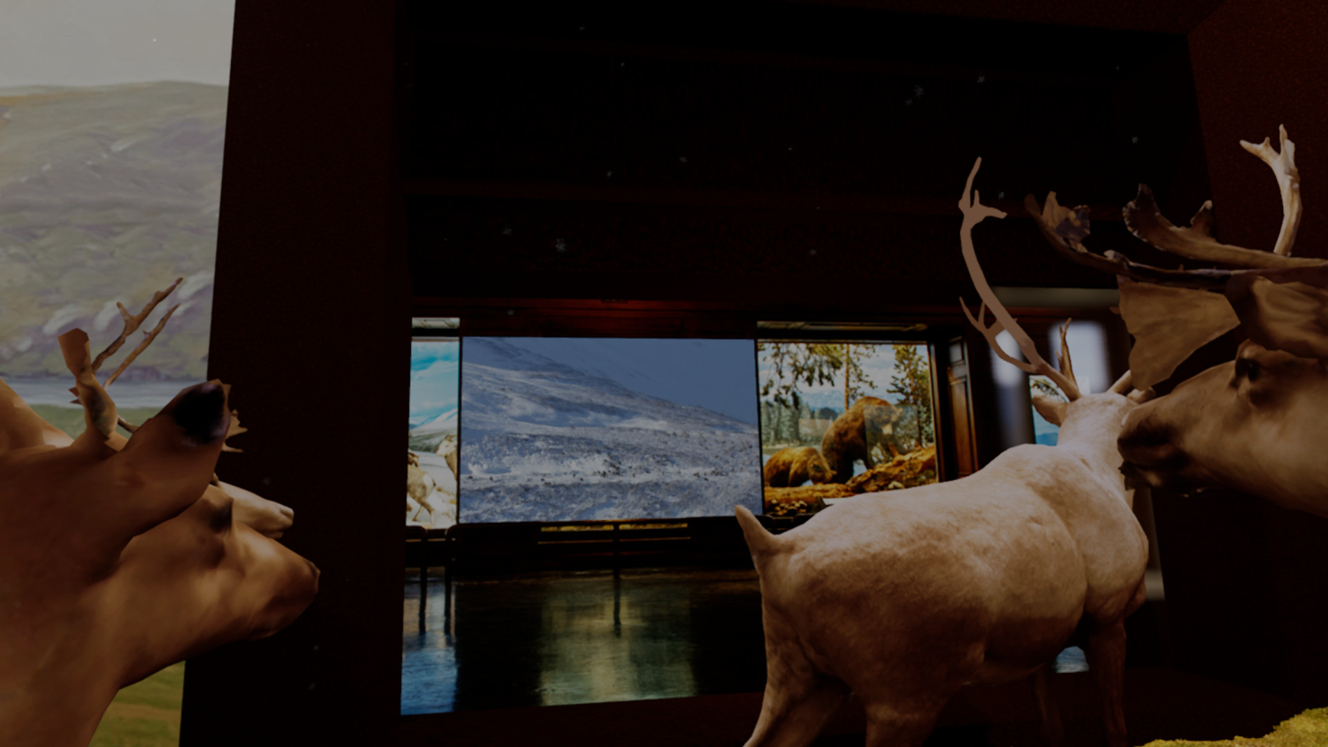 Beyond The Diorama: Caribou World screenshot 5