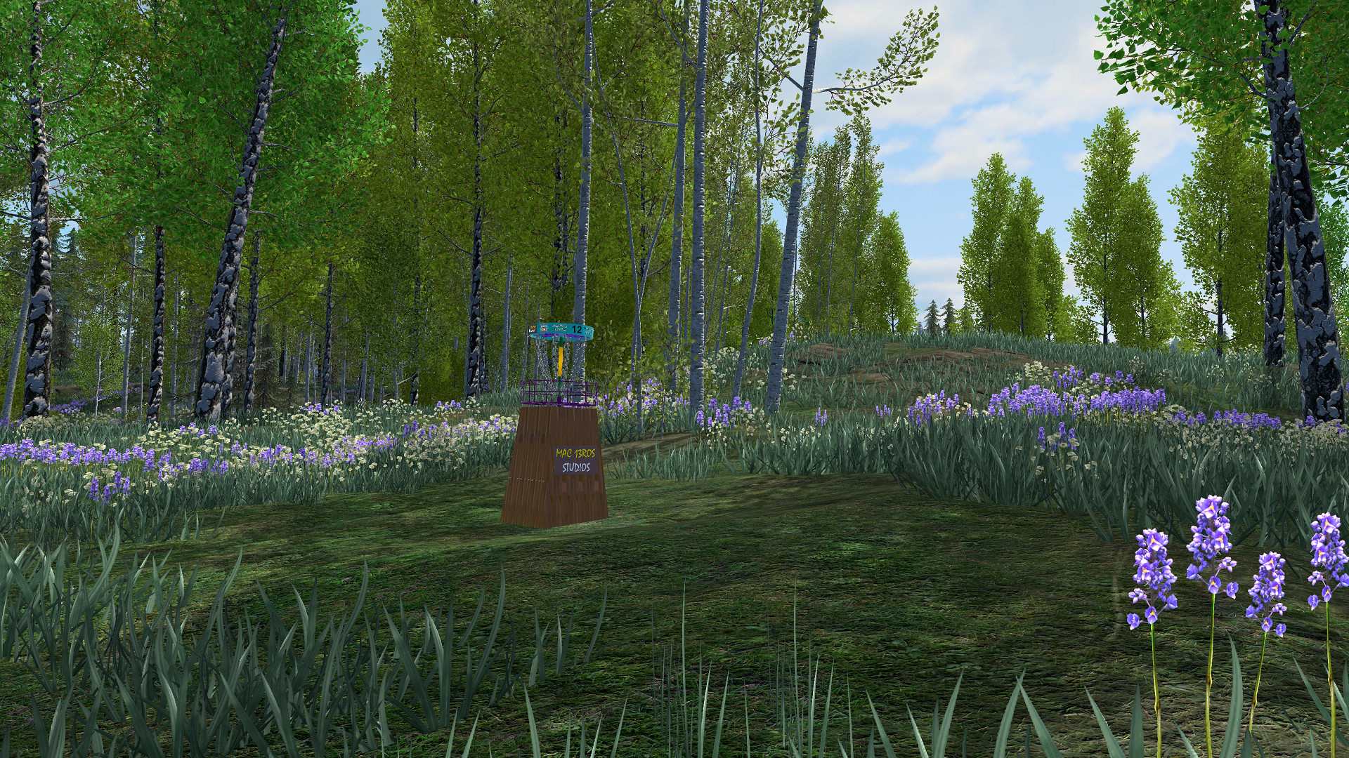 Disc Golf Adventure 2 VR screenshot 6