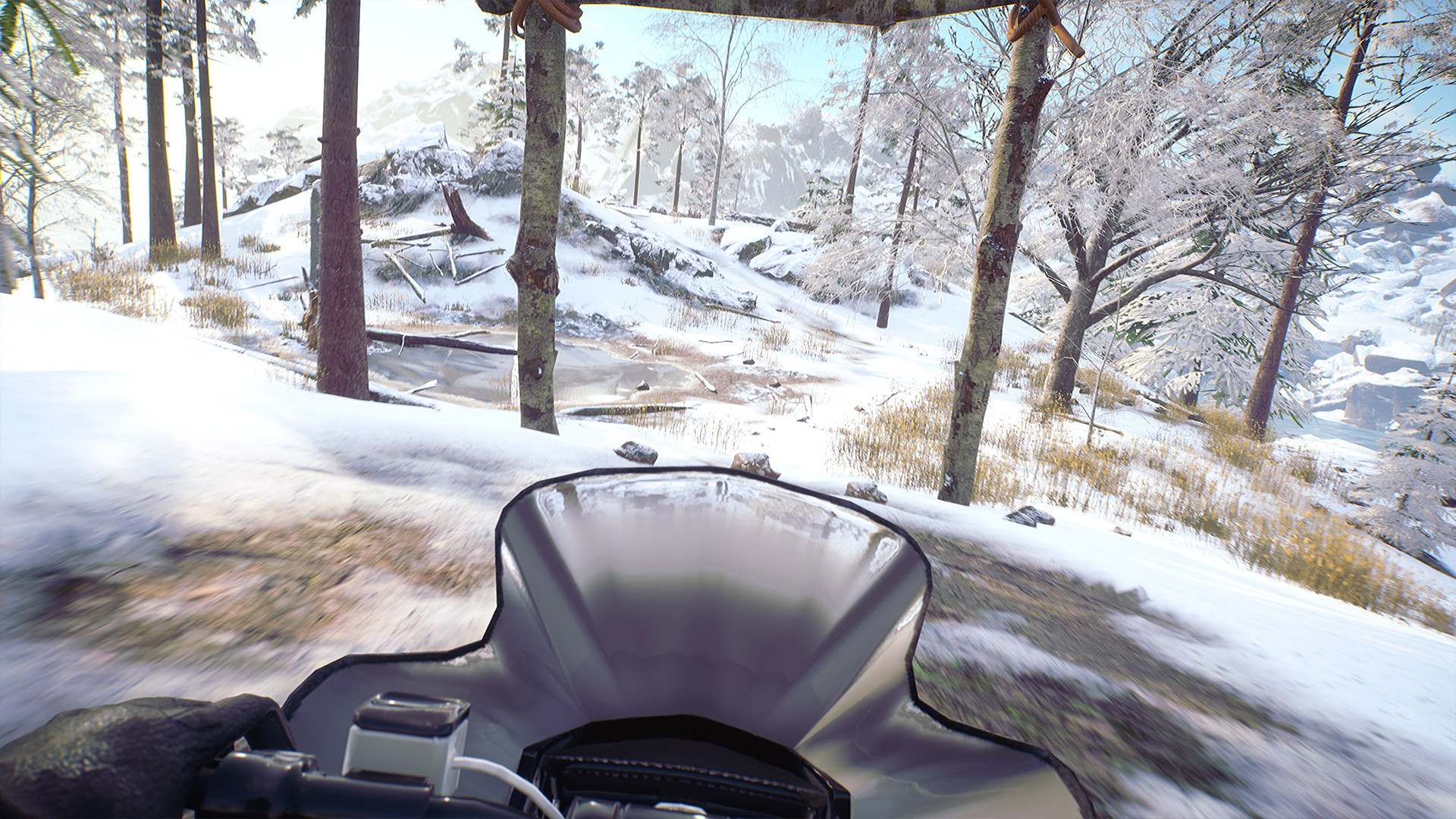 Til Nord screenshot 5