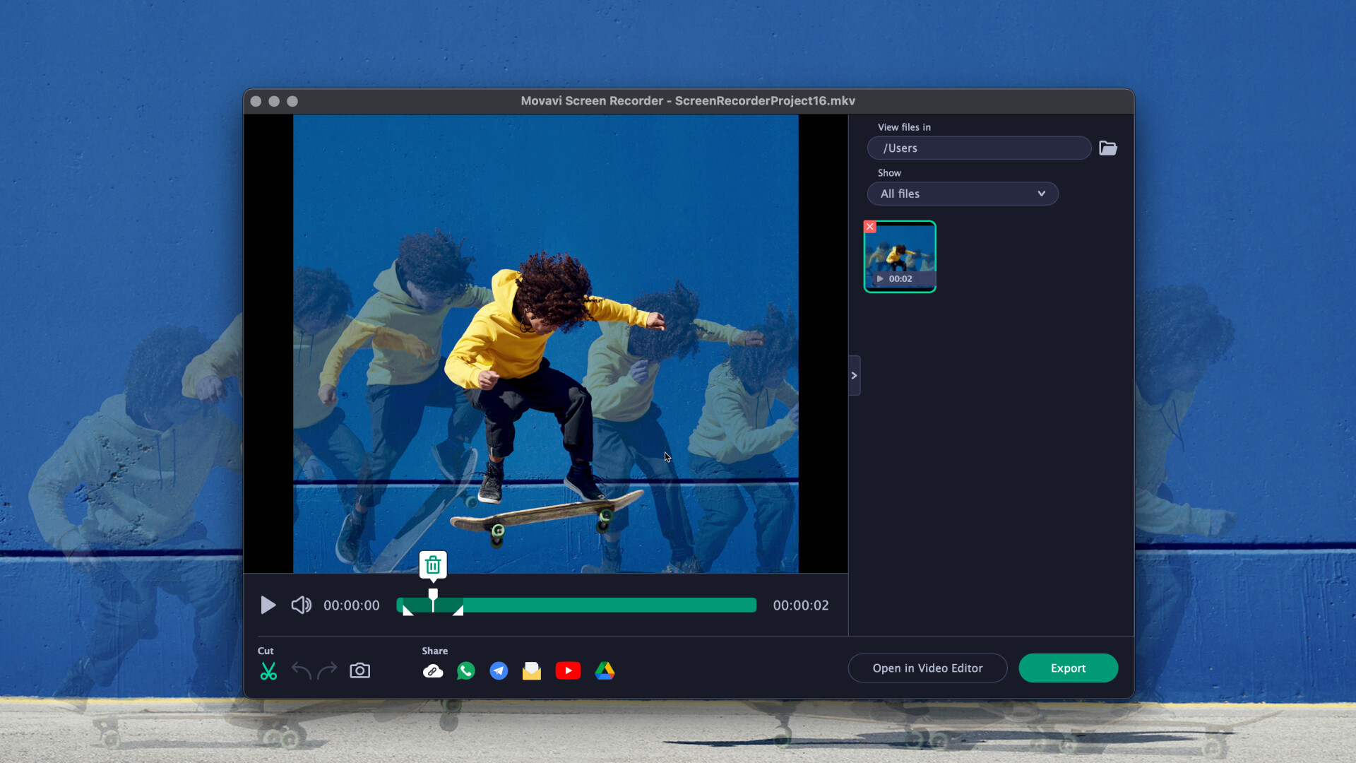 Movavi Screen Recorder screenshot 2