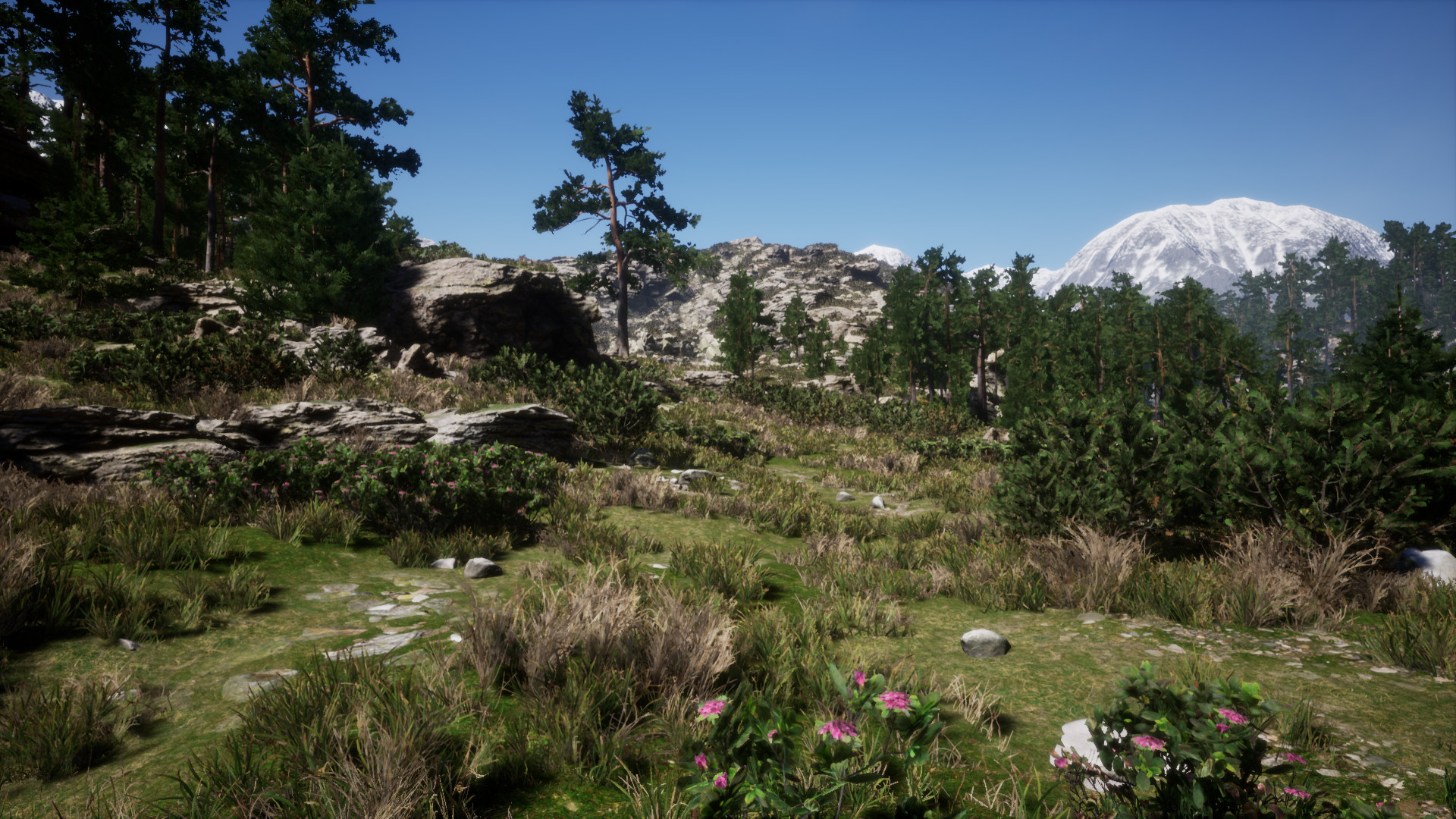 Runner screenshot 2