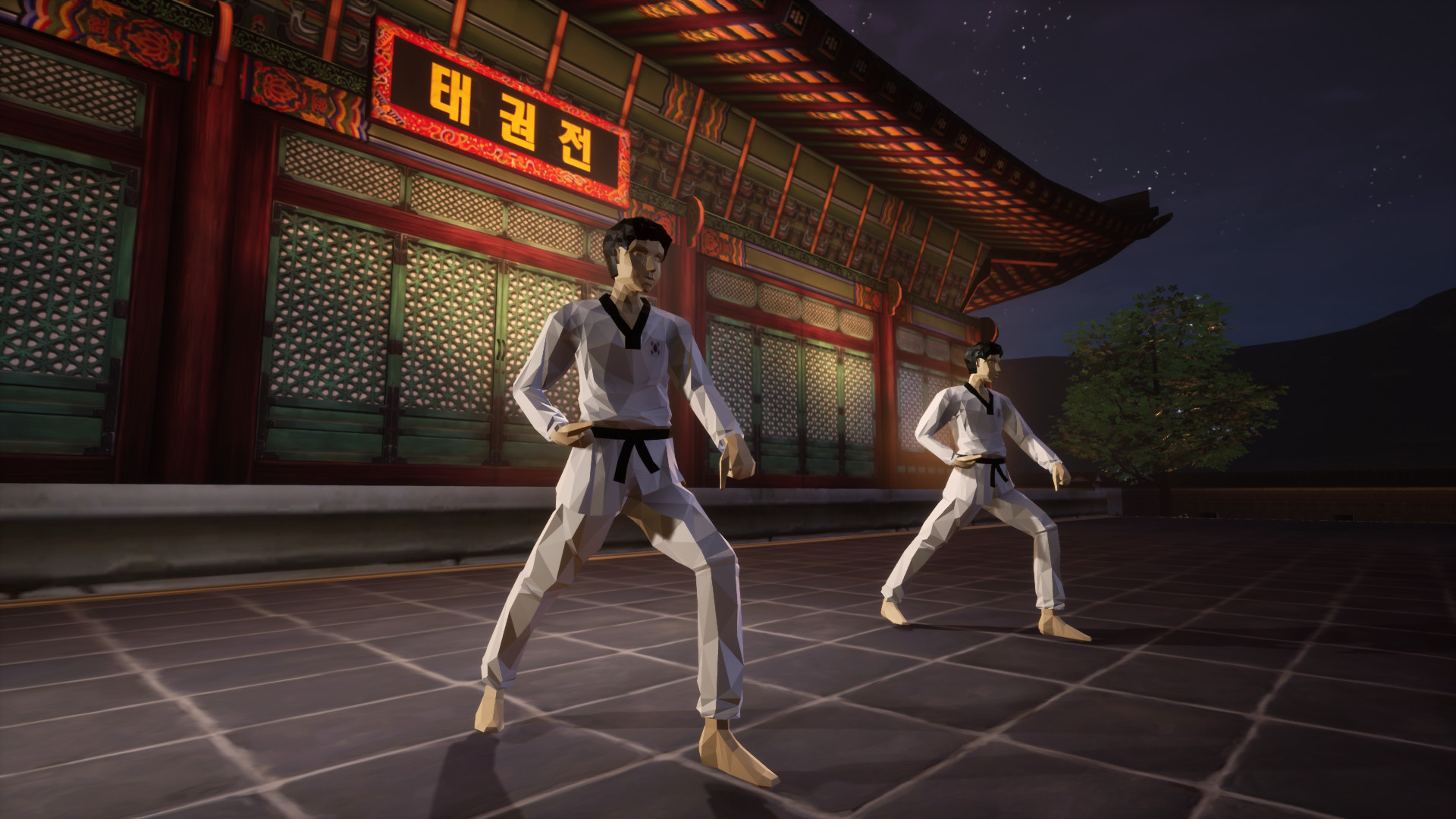 Taekwondo Demonstration Team Simulator screenshot 5