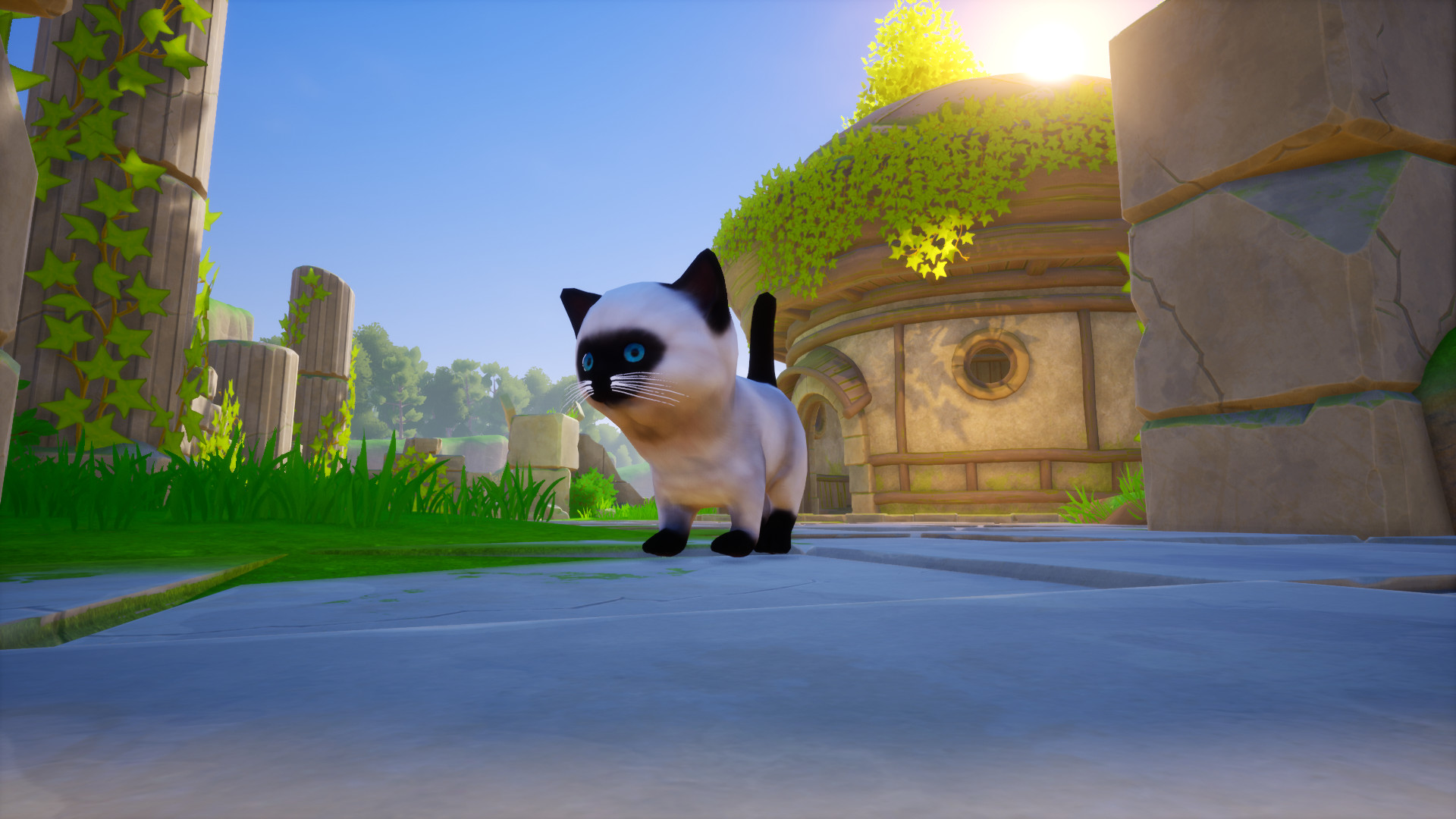 Cat Go! Ultimate Challenge screenshot 4