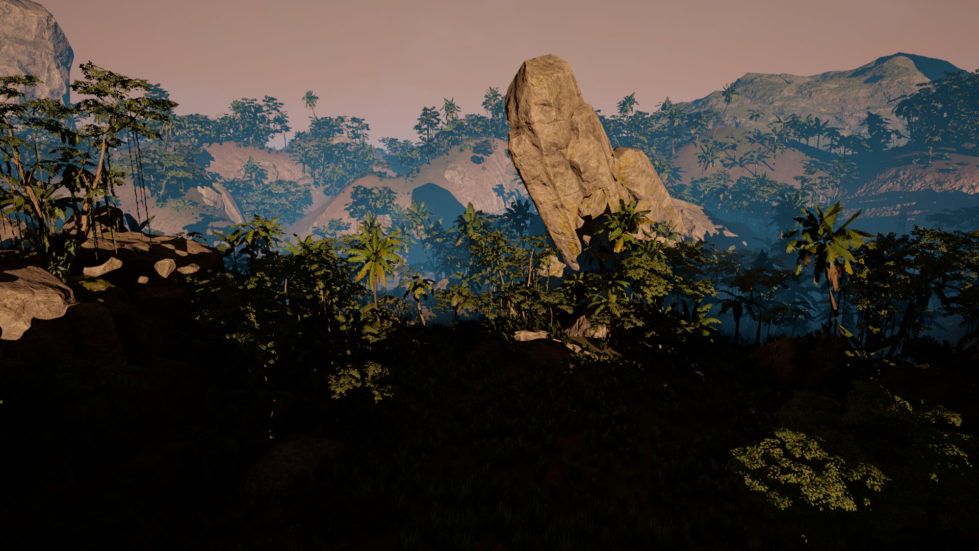 VHAIP screenshot 1
