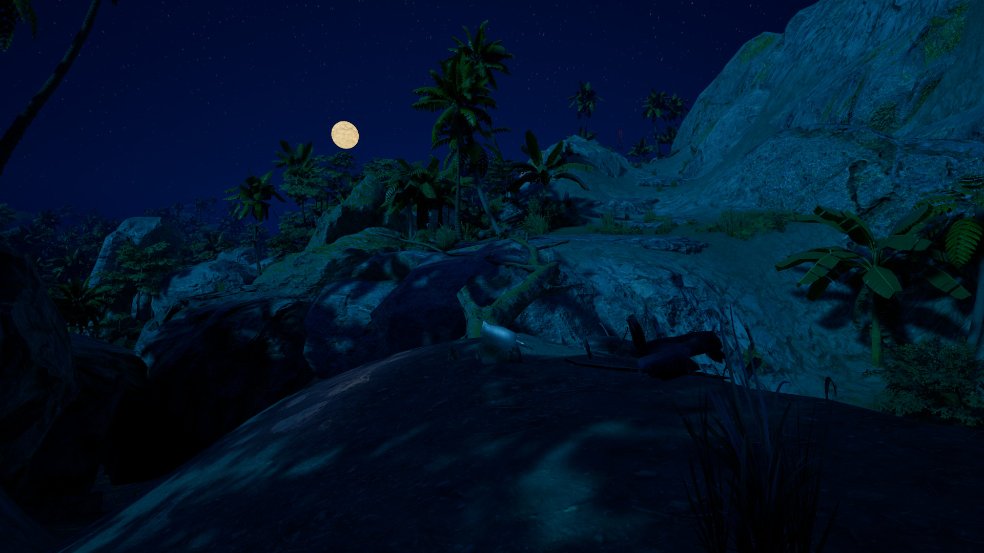 VHAIP screenshot 7