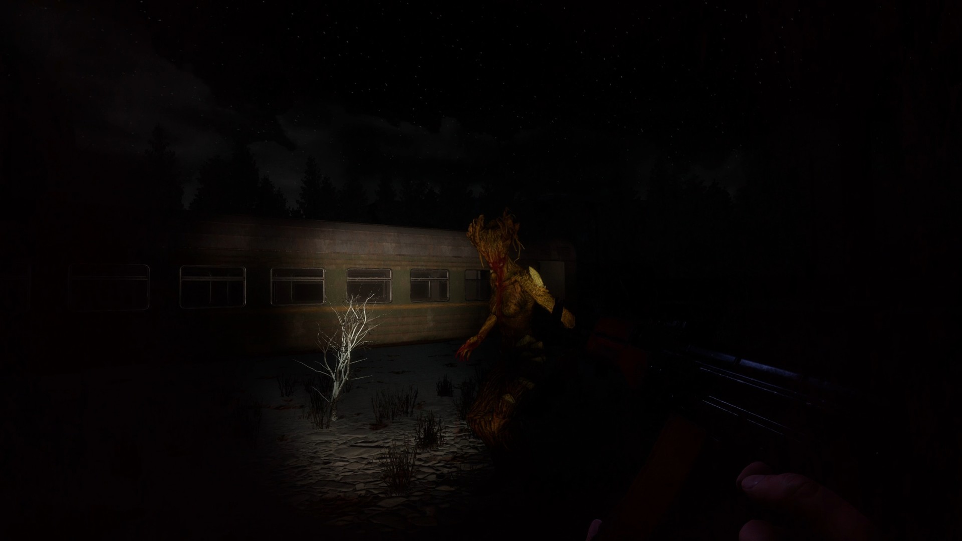 Unknown Woods screenshot 7