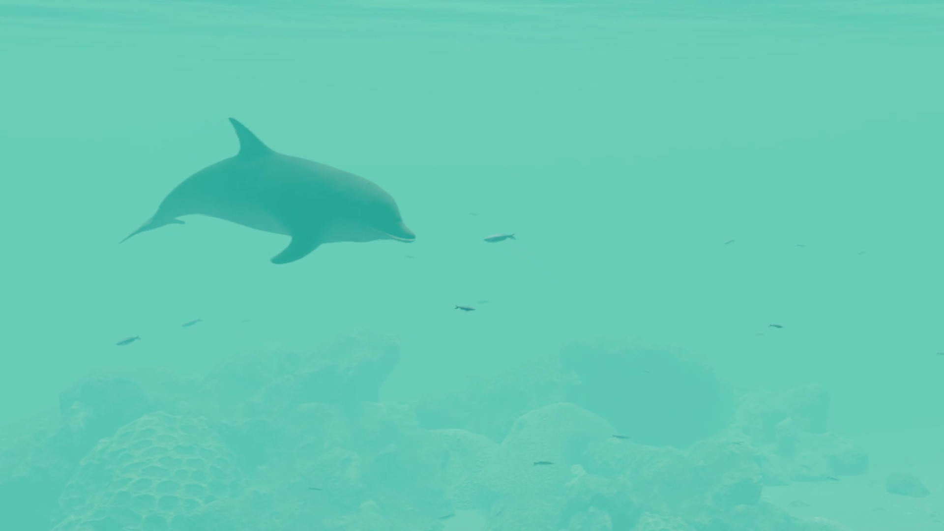 Nature Treks: Together screenshot 7