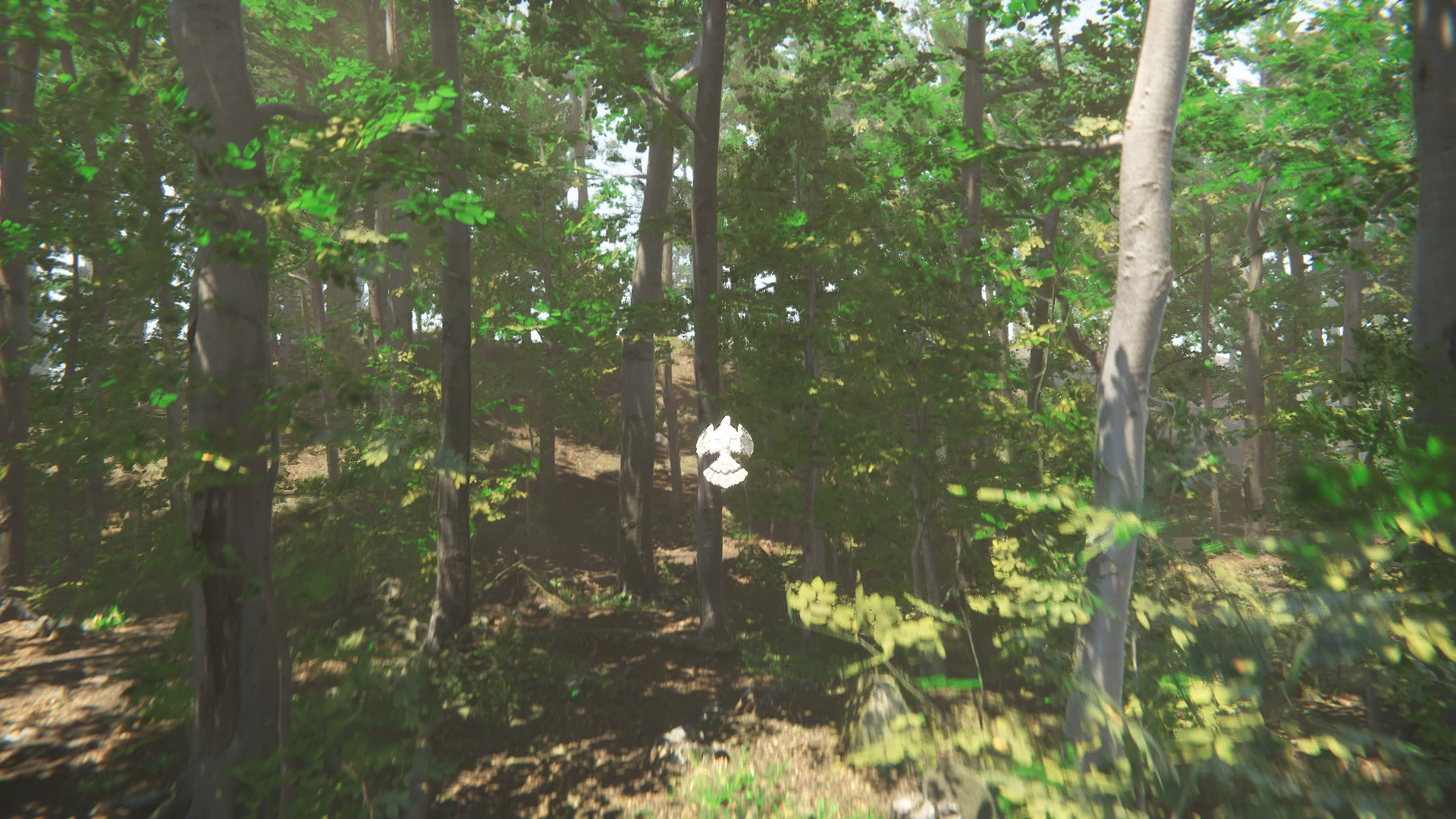 Bird screenshot 5