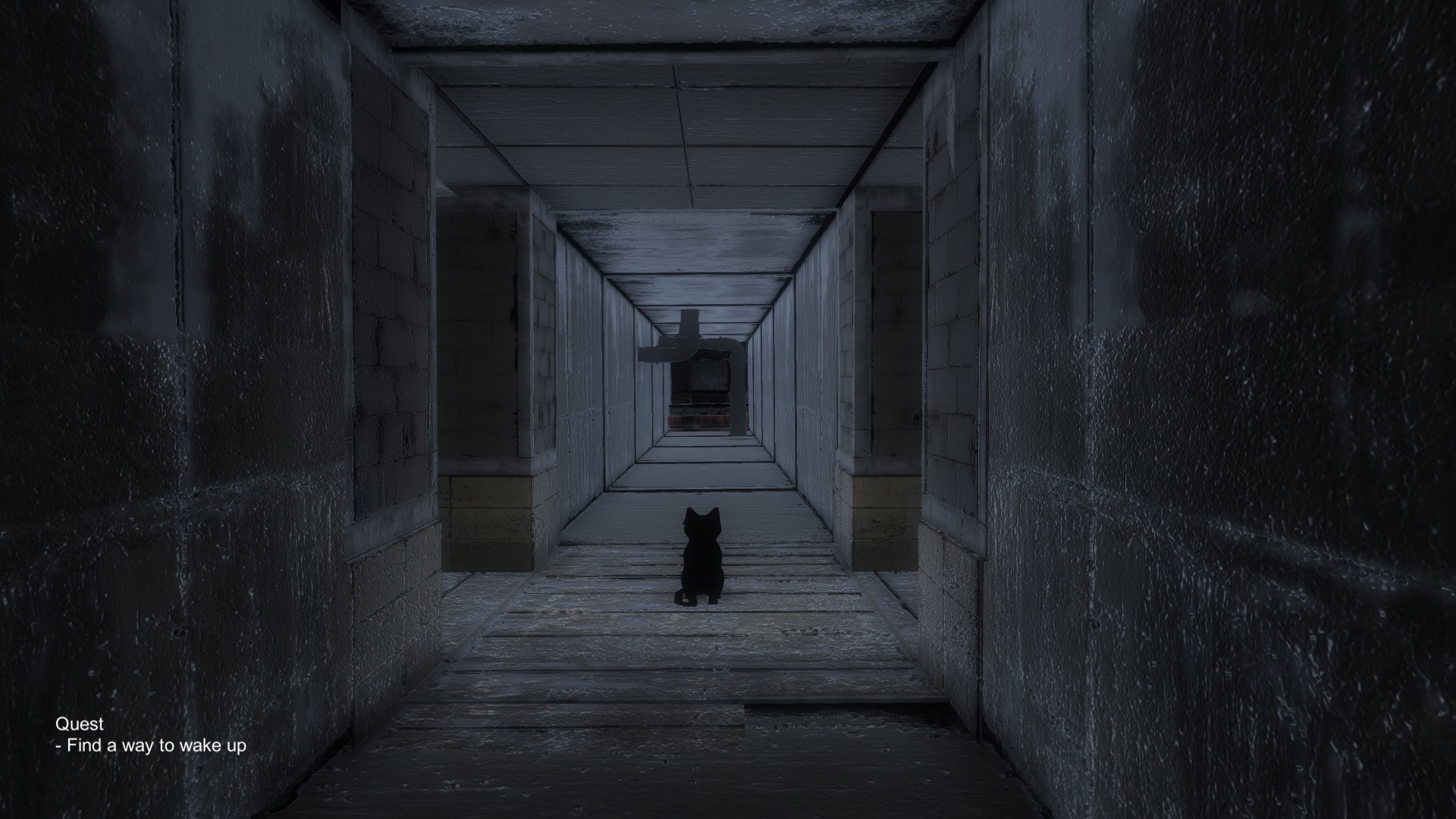 Black Cat screenshot 4