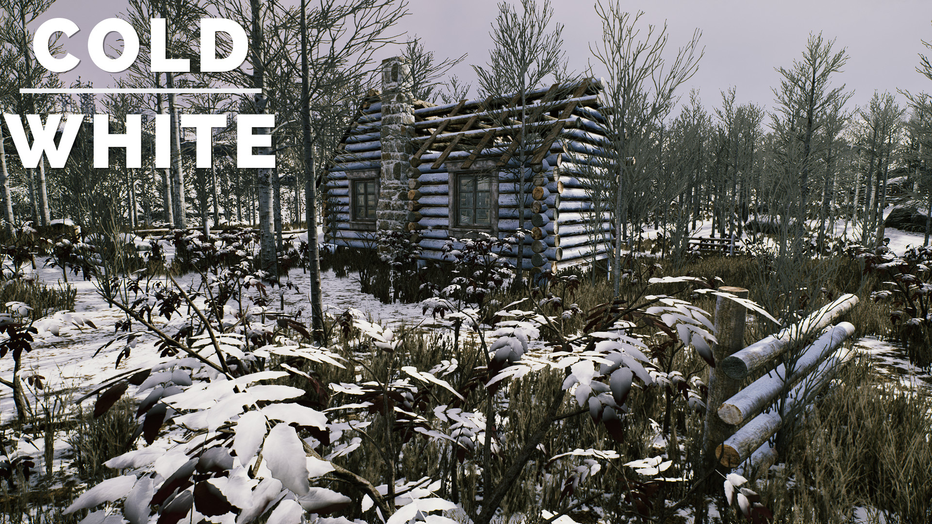 The Cold White screenshot 1