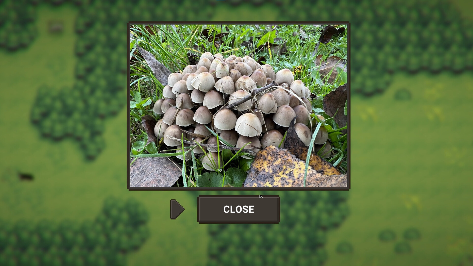 A Walk With My Dog screenshot 10