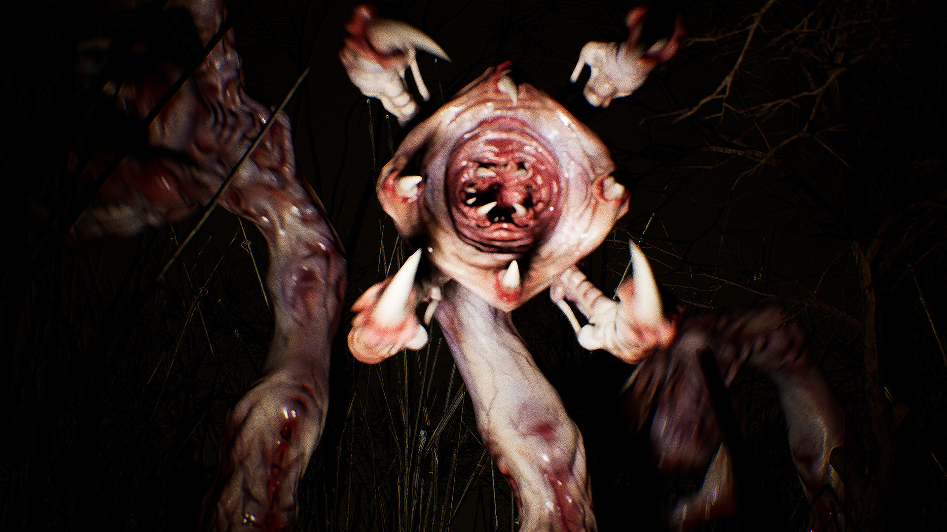 FIRST screenshot 13