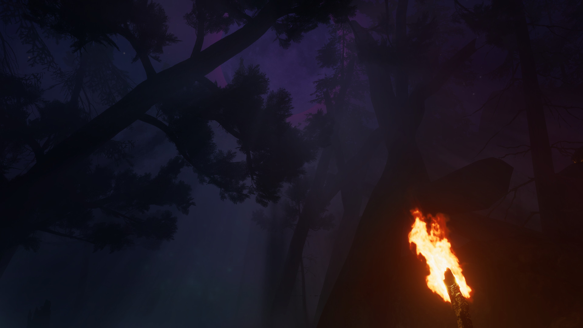 Finsterwald screenshot 7