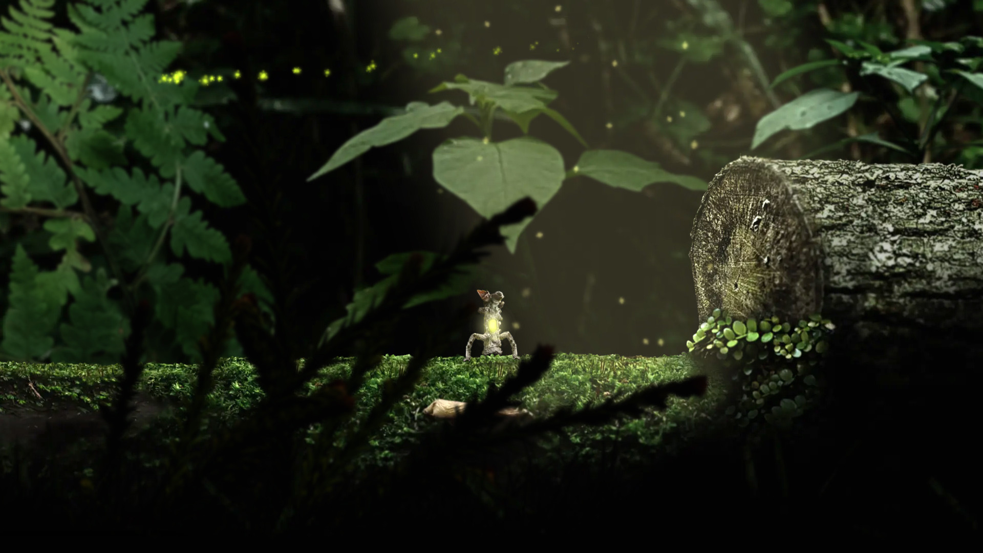 Seedlings screenshot 1