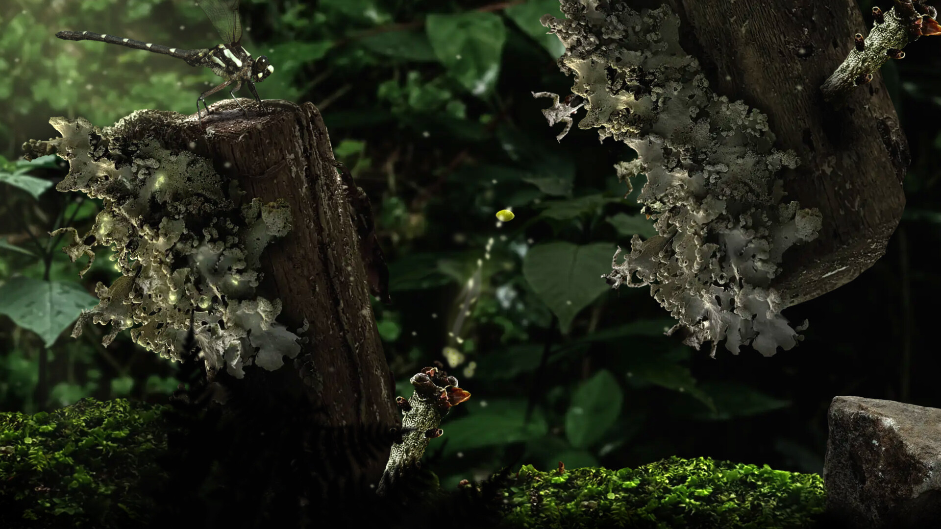 Seedlings screenshot 5