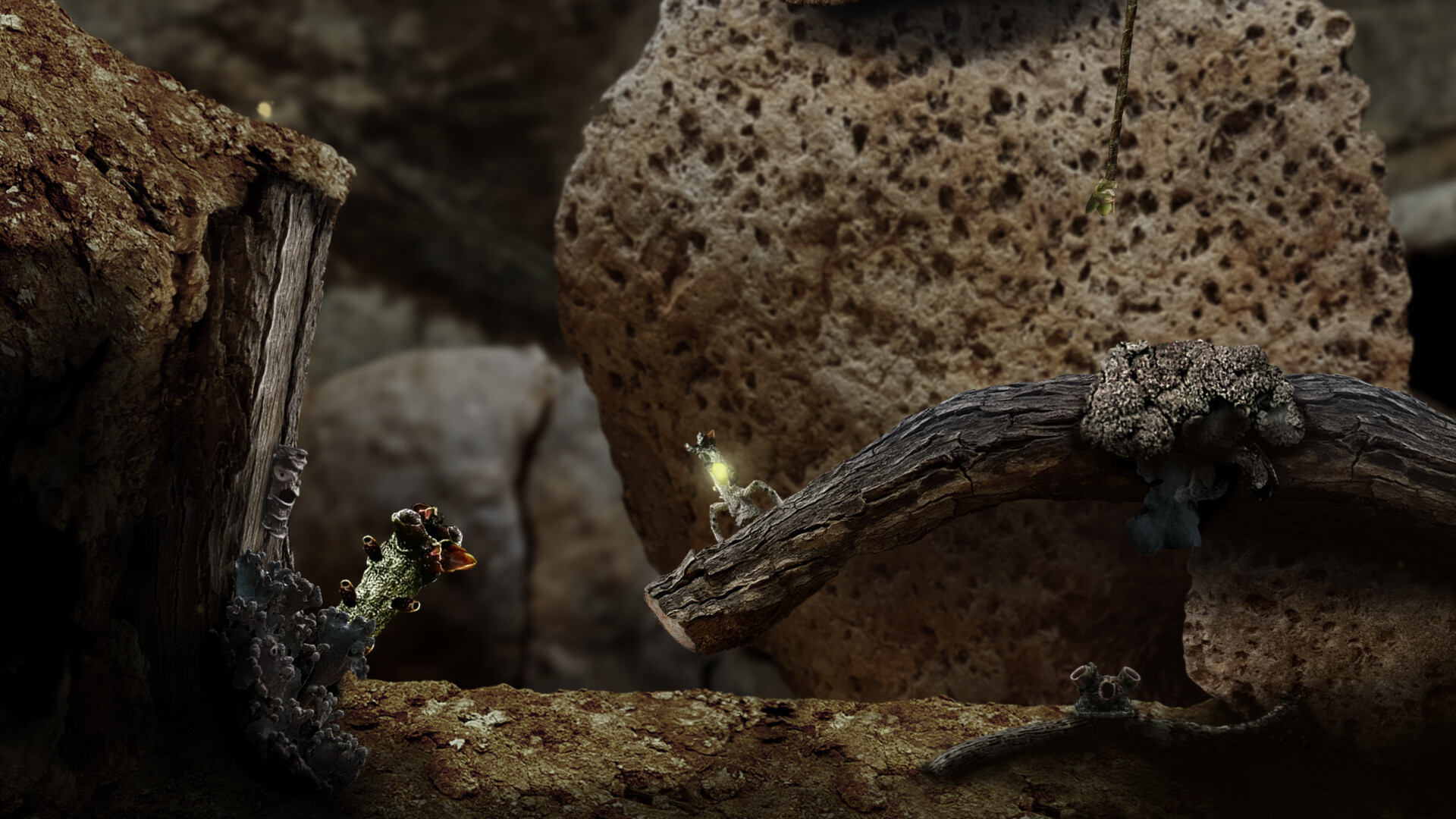 Seedlings screenshot 2