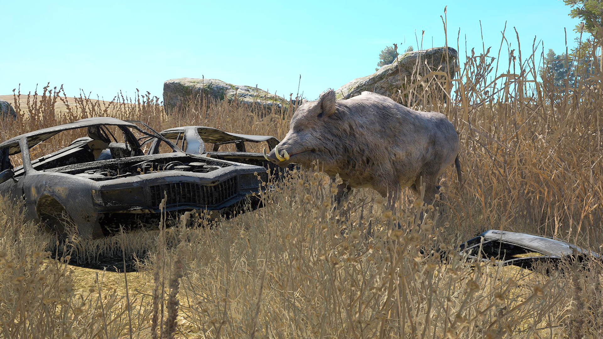 Long Drive Island screenshot 18