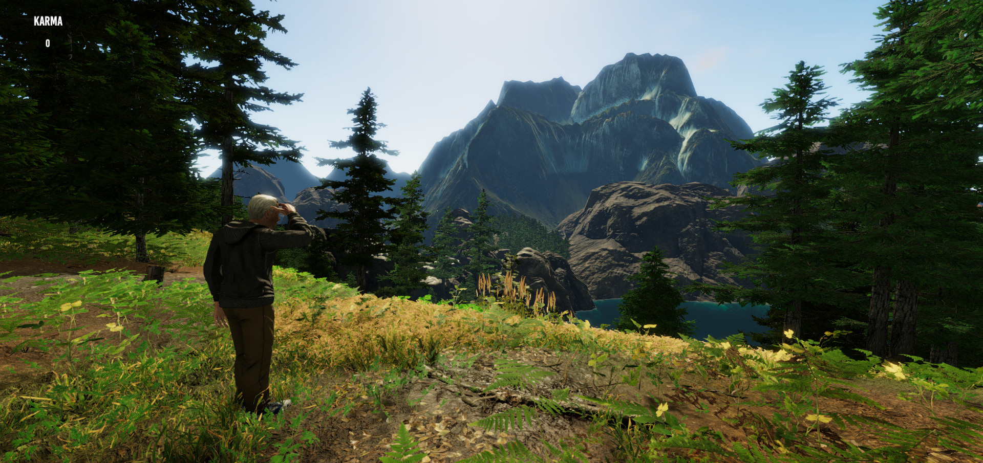 Gander National Park screenshot 2