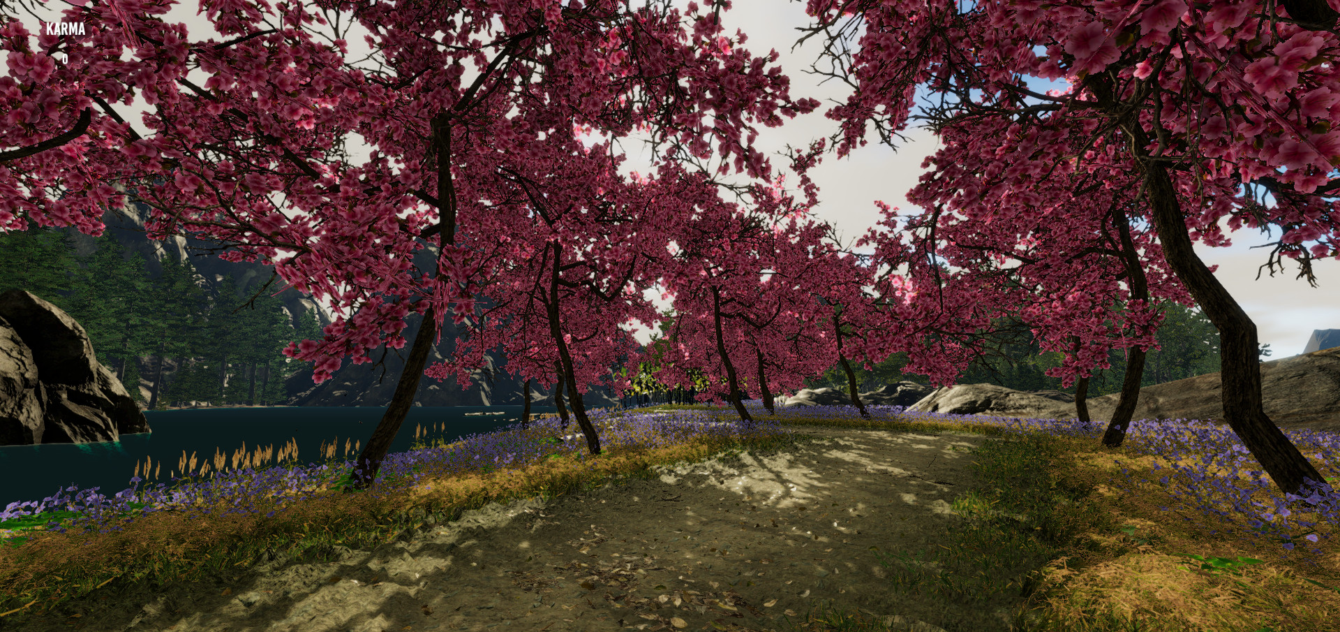 Gander National Park screenshot 5
