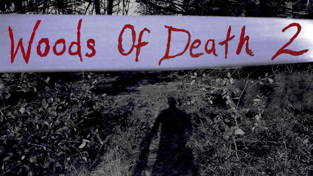 Woods of Death 2 screenshot 10