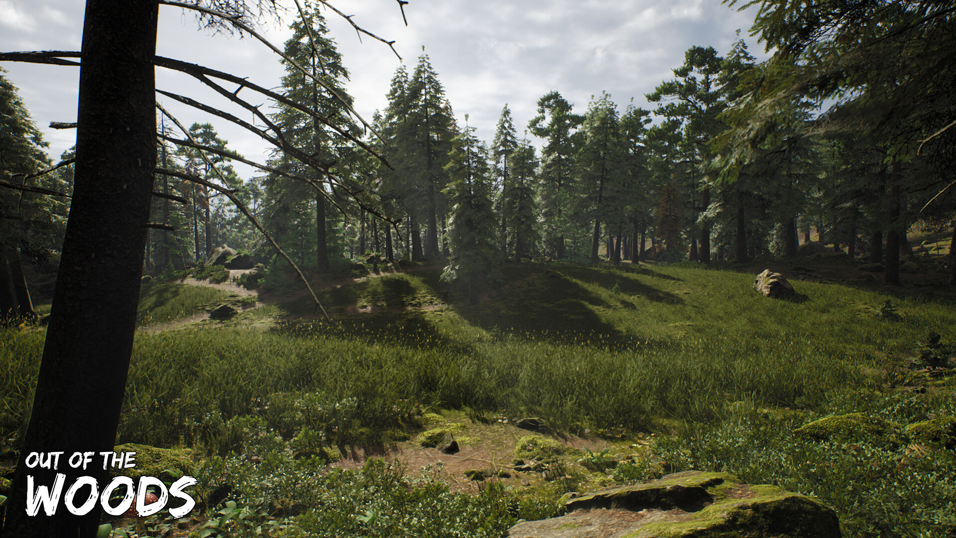 Out of the Woods screenshot 8