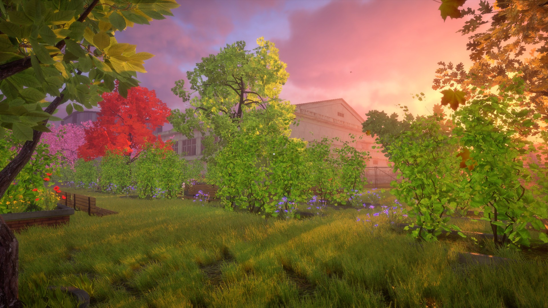 The Dream is Coming... screenshot 5