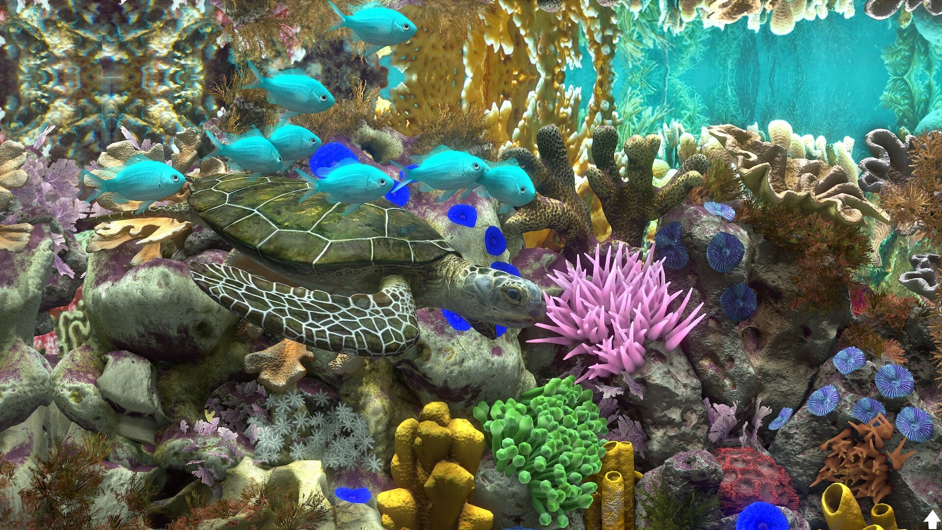 Behind Glass: Aquarium Simulator screenshot 2