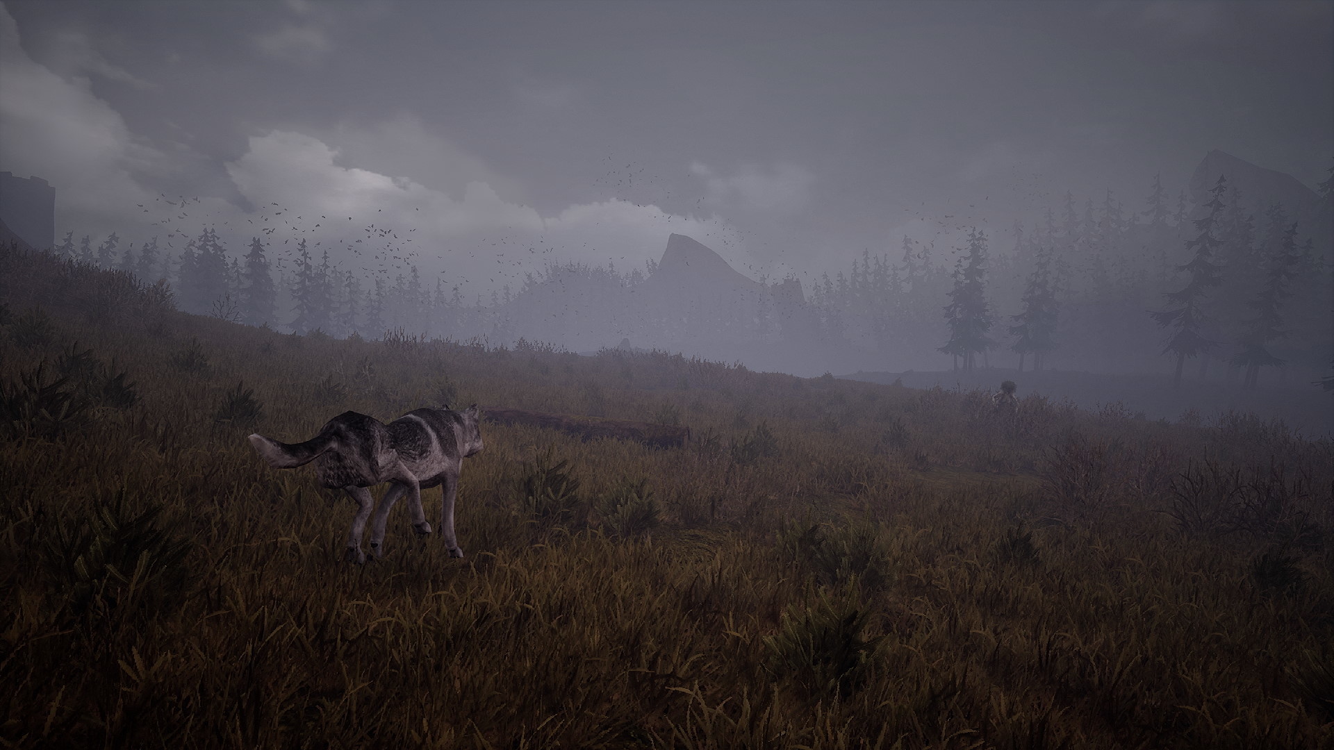 Wandering Wolf screenshot 5