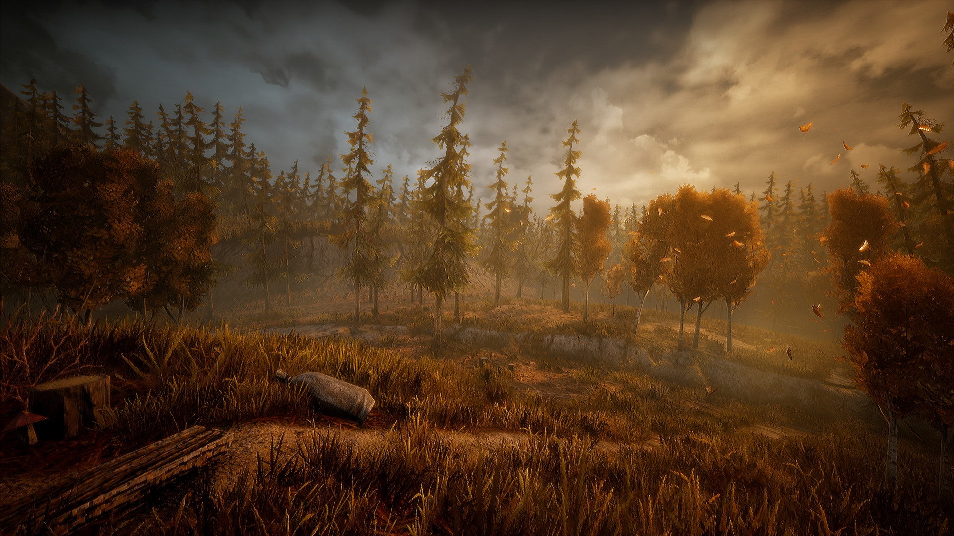 Wandering Wolf screenshot 6