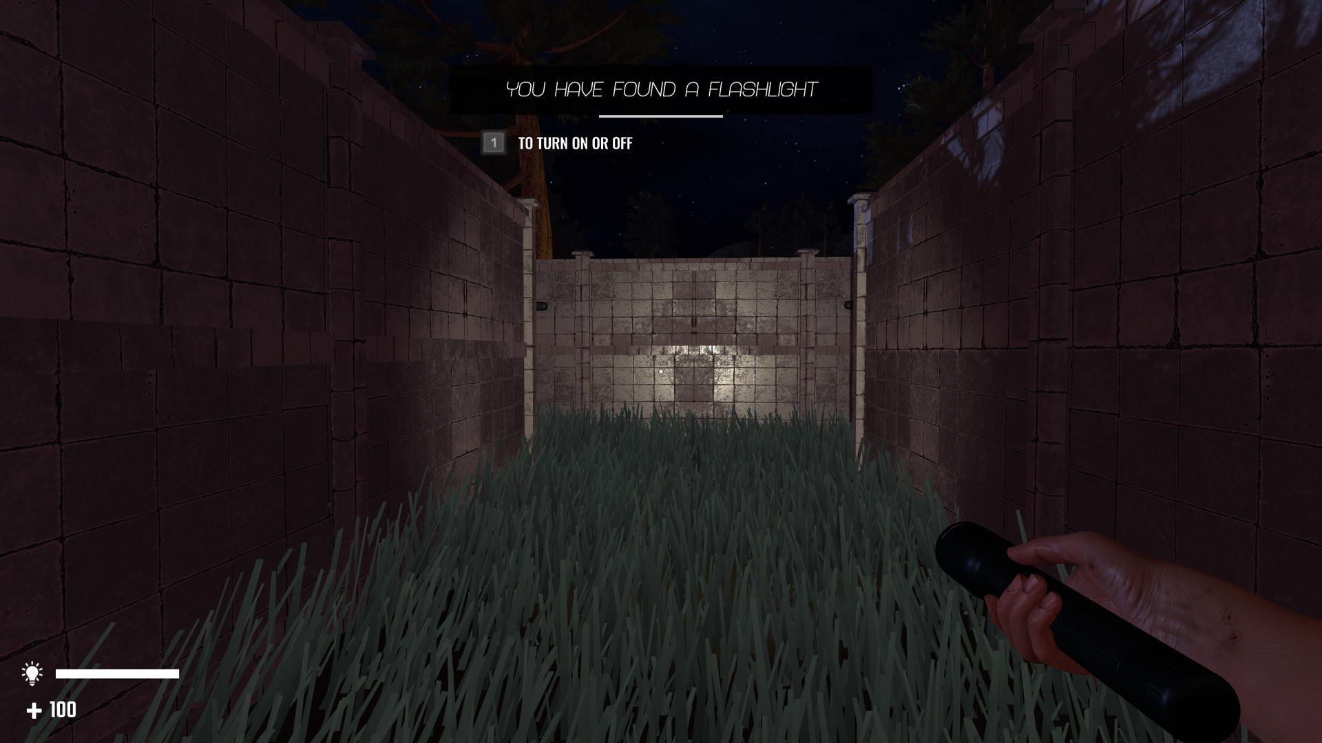 Labyrinthus screenshot 6
