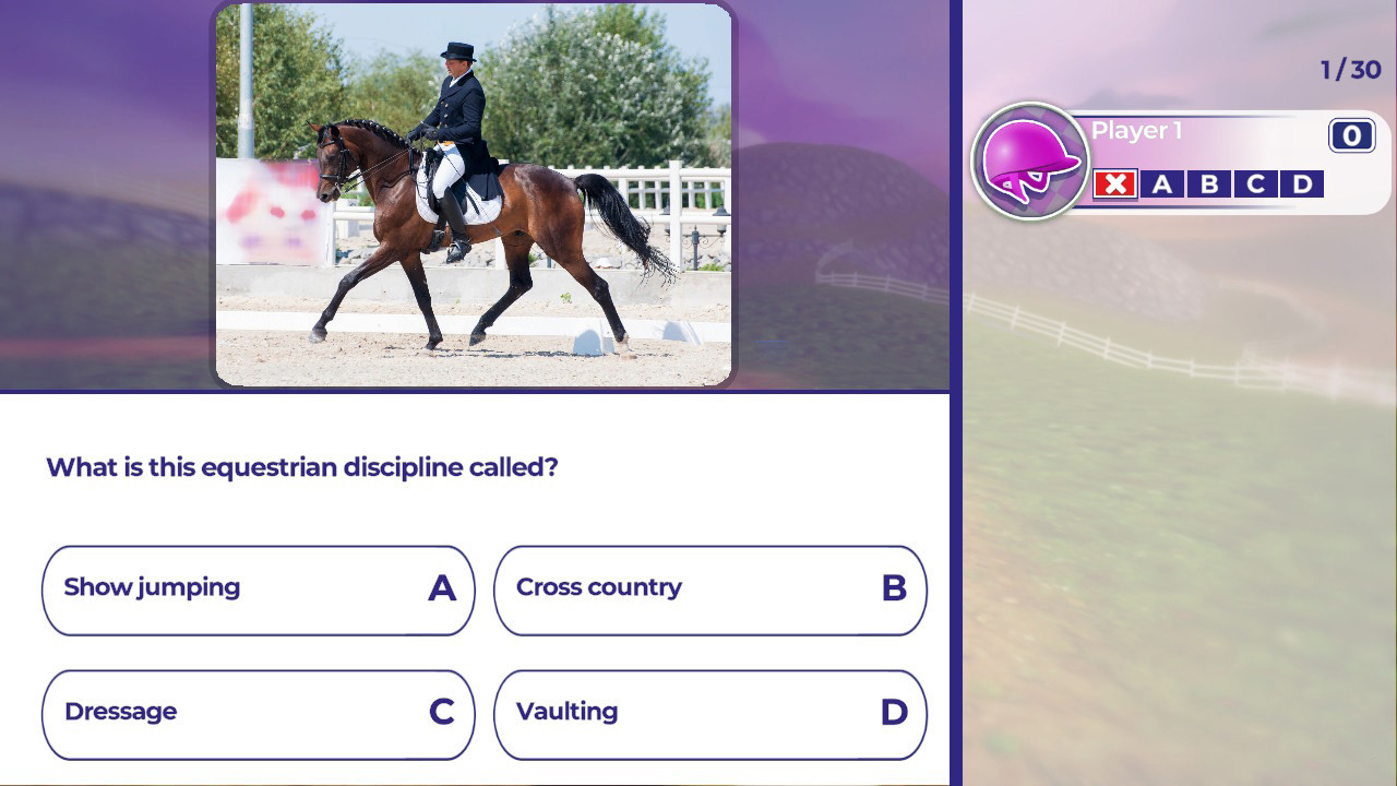 Equestrian Training screenshot 1