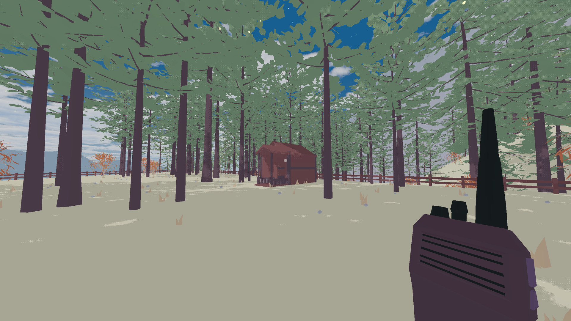 my brother lives in a canyon screenshot 4