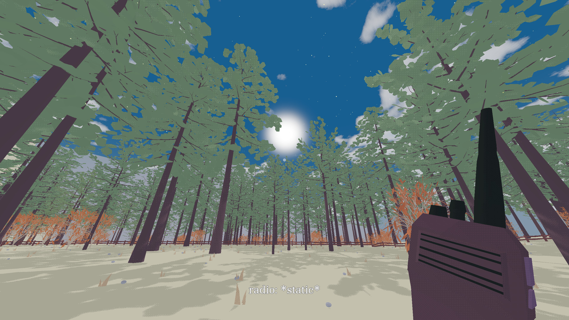 my brother lives in a canyon screenshot 5