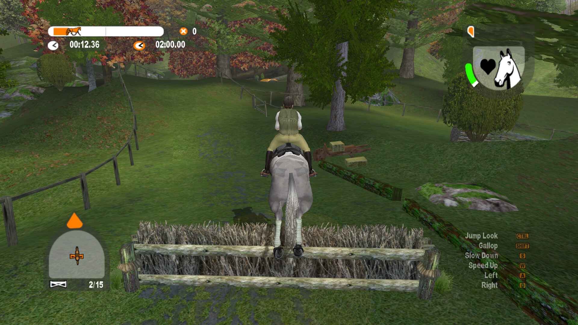 Lucinda Green's Equestrian Challenge screenshot 9