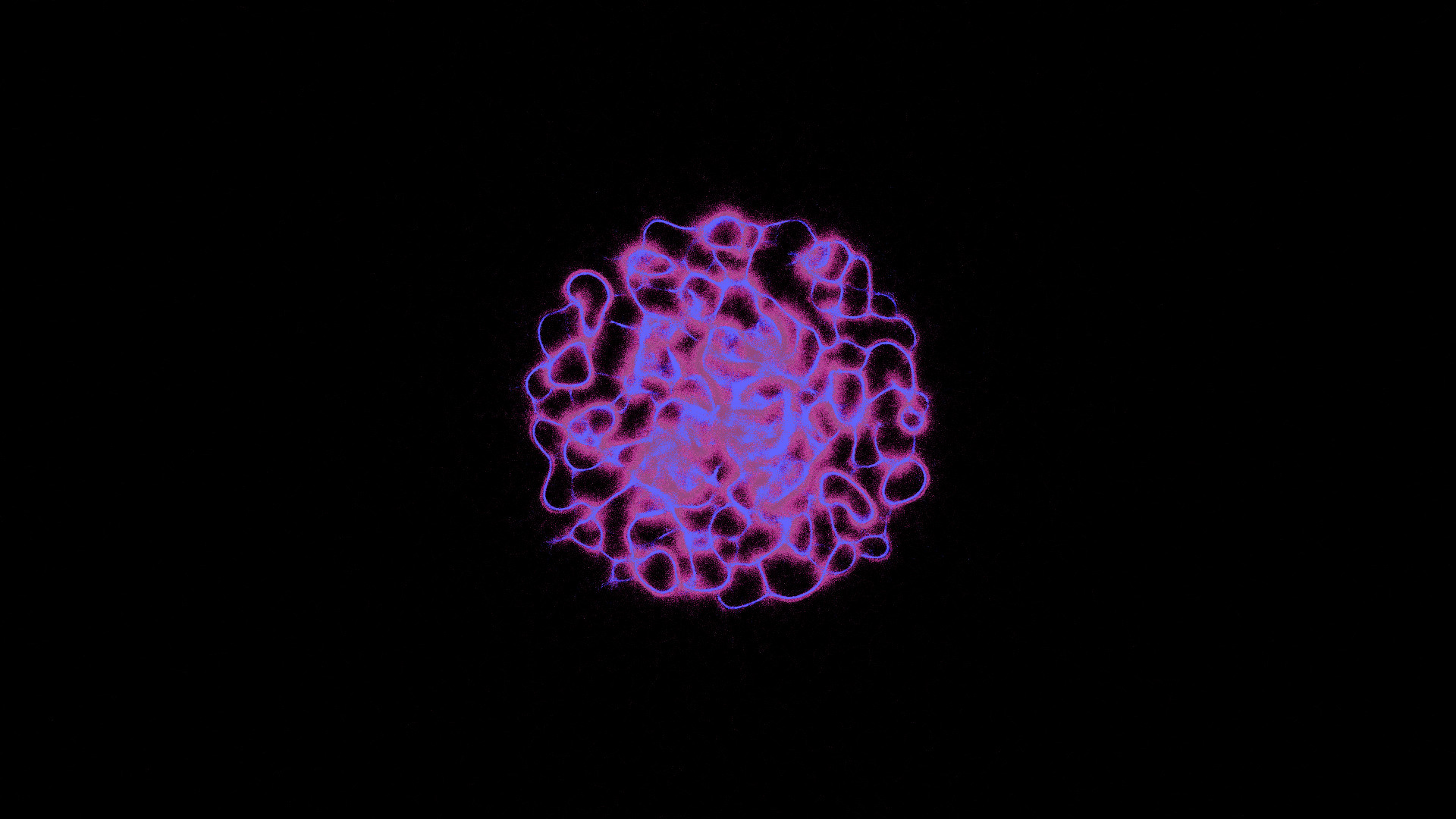 PHYSARUM: Slime Mold Simulator screenshot 6