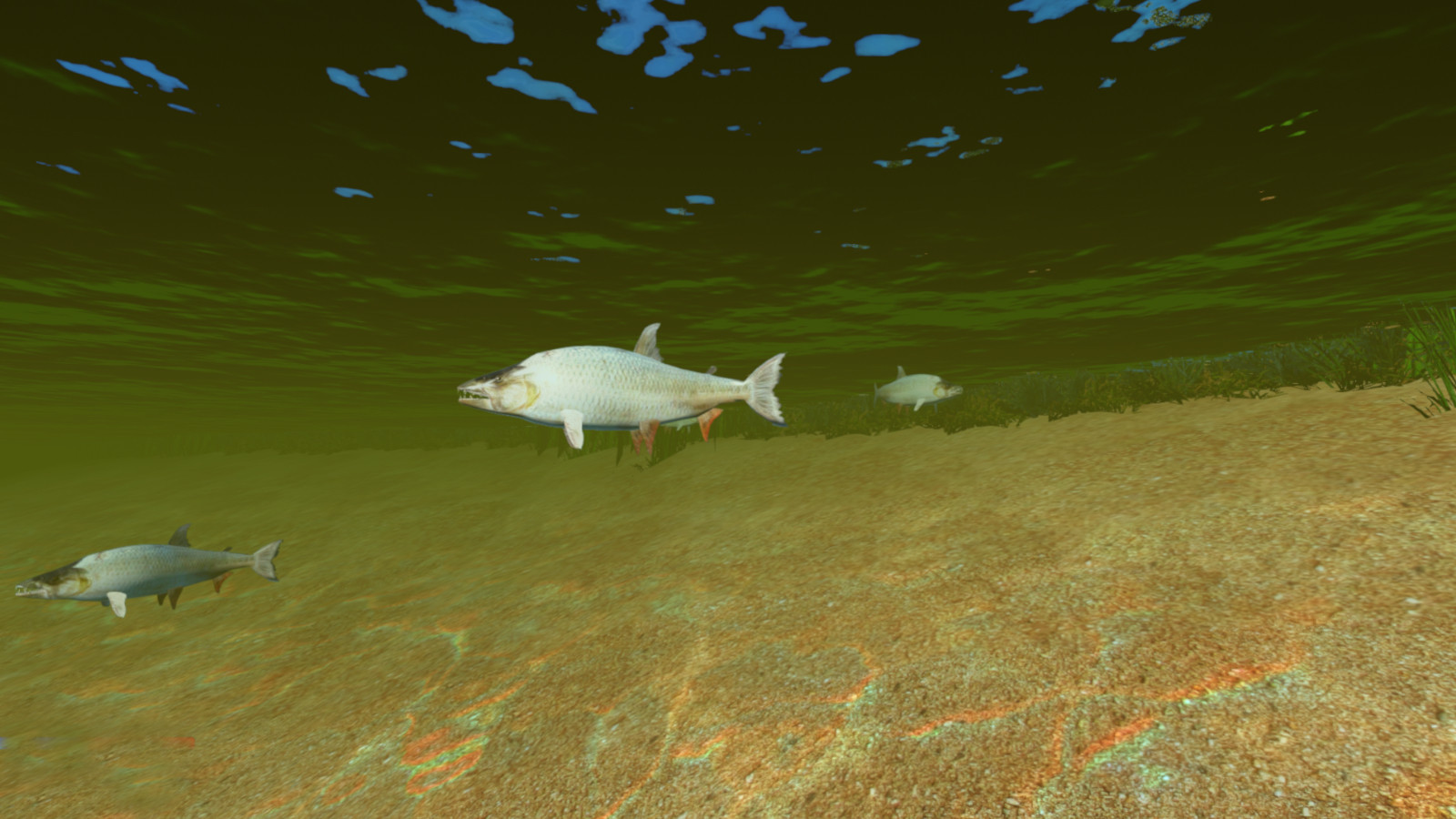 African Safari screenshot 15