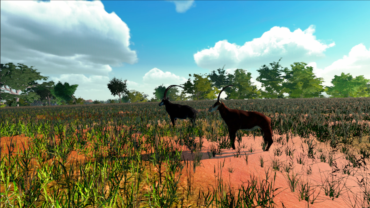 African Safari screenshot 19