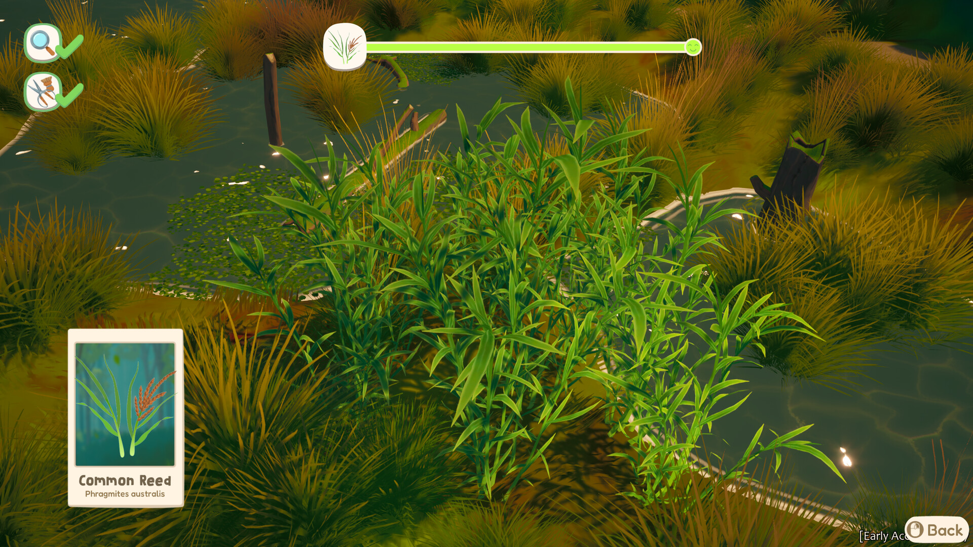 Out and About screenshot 10