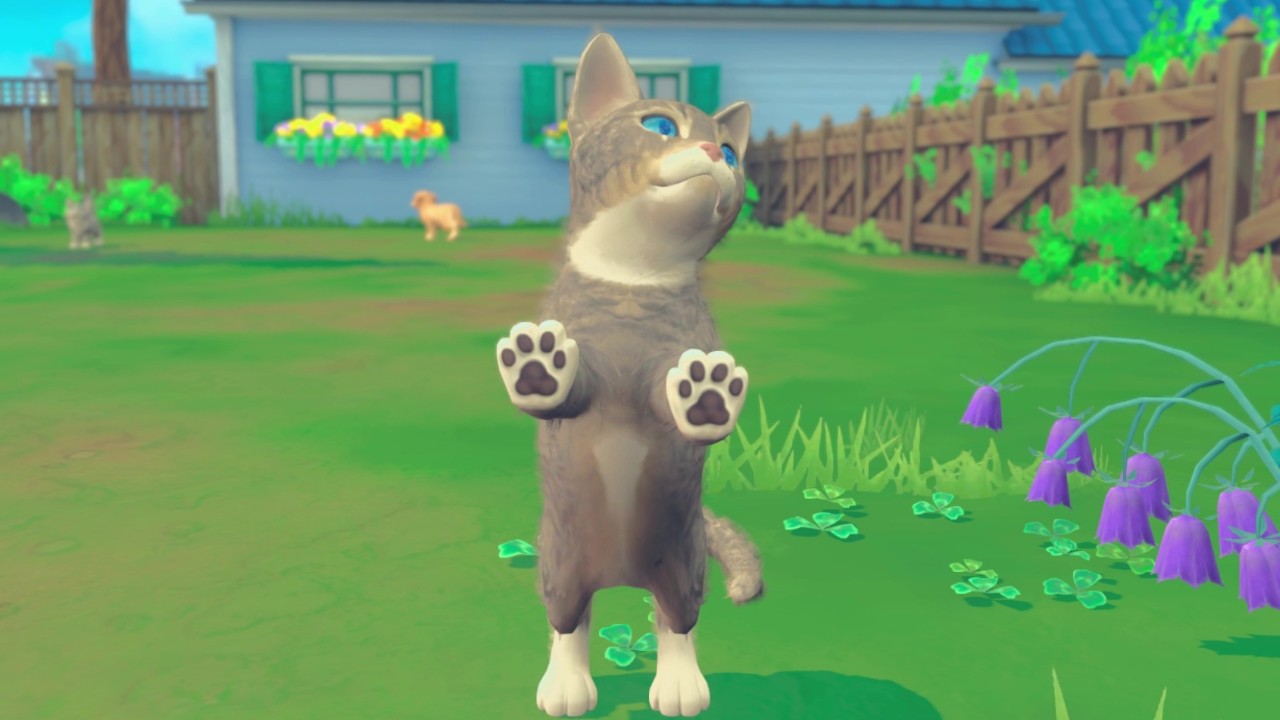 My Universe - Puppies & Kittens screenshot 6