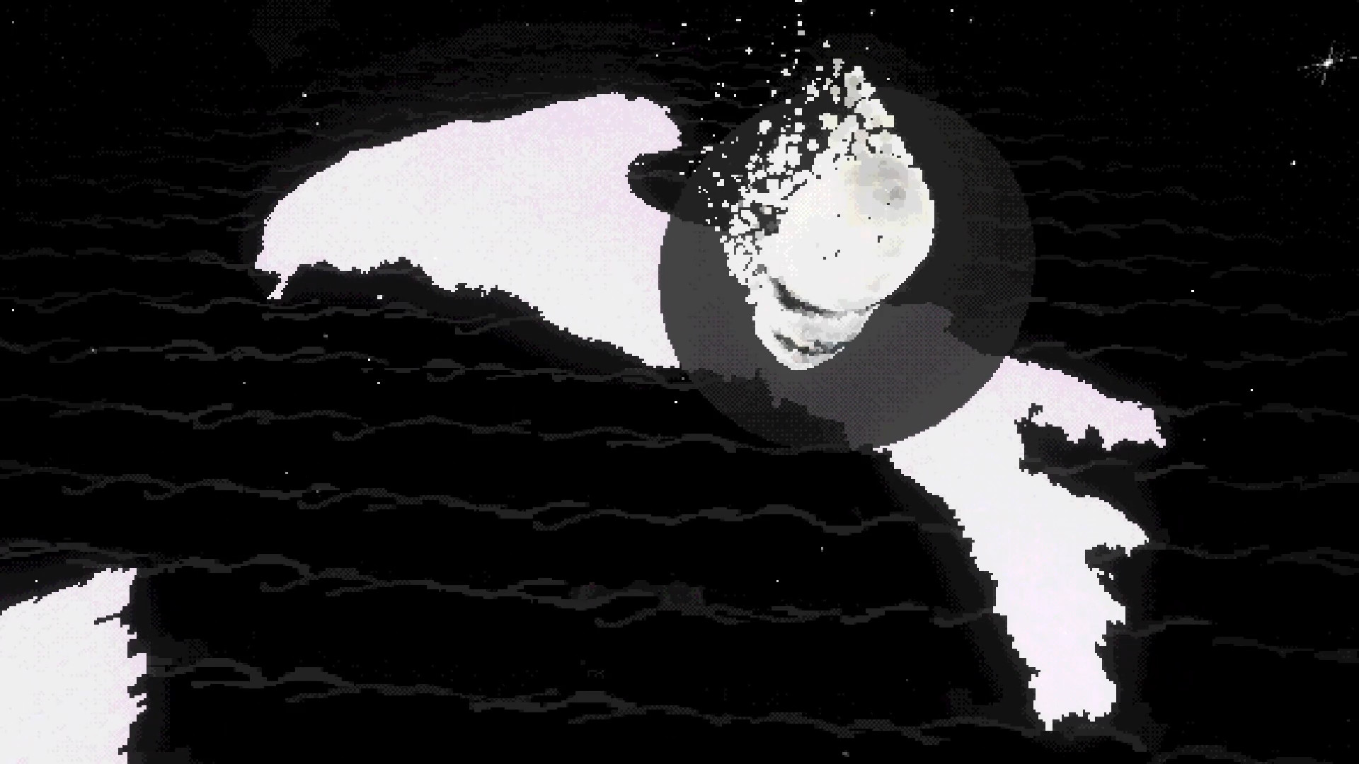 CUCCCHI screenshot 7